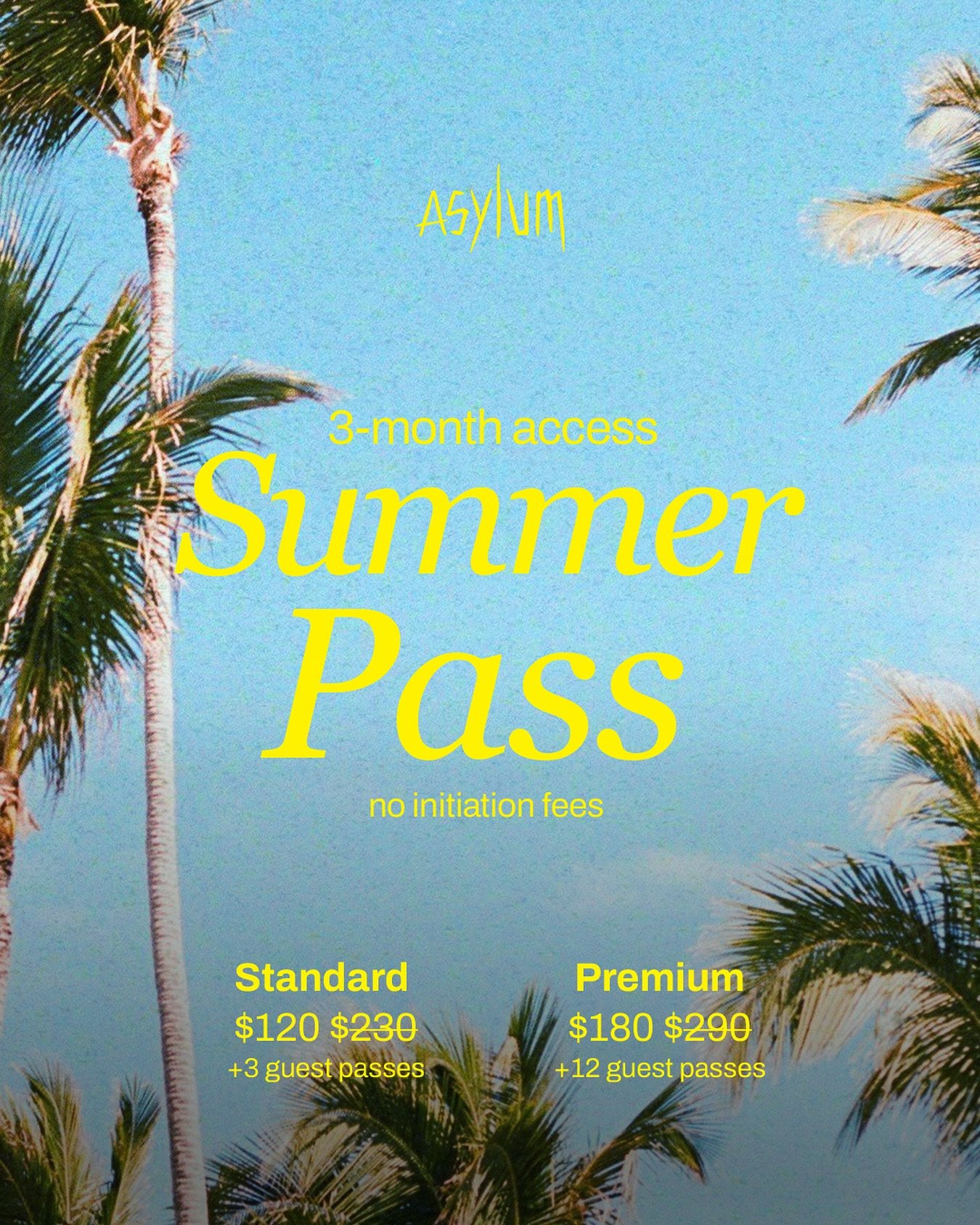 🔥Summer Pass 2025🔥 
Escape the indoors and climb outside 🌞Get 3 months of unlimited access to Asylum plus extra guest passes to make the most out of the nicest season. Whether you&rsquo;re leveling up your sends or just starting out, this is your 