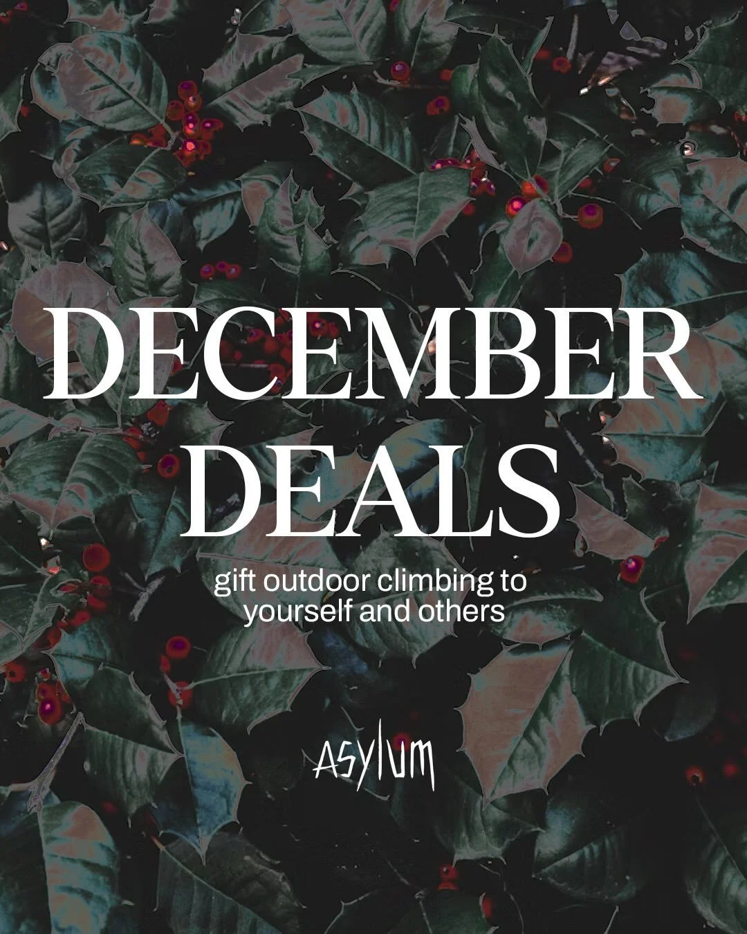 Climbing deals for the holidays, treat yo&rsquo;self!

Get twice the punch passes with a BOGO deal, a climbing day for 2 people with free gear, or a monthly package that includes rental gear and a free chalk brush. All of these December specials can 