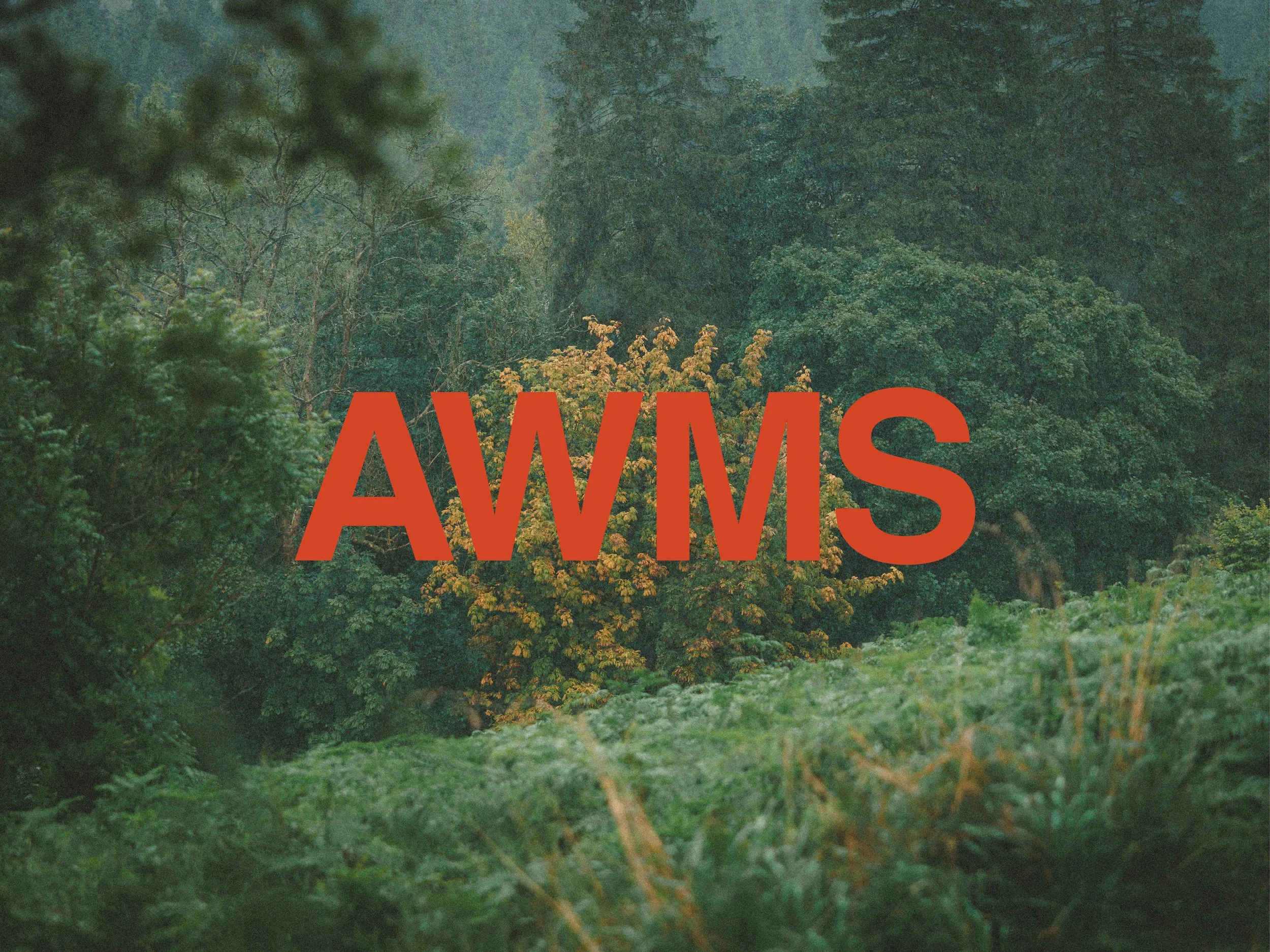 AWMS FW 2024