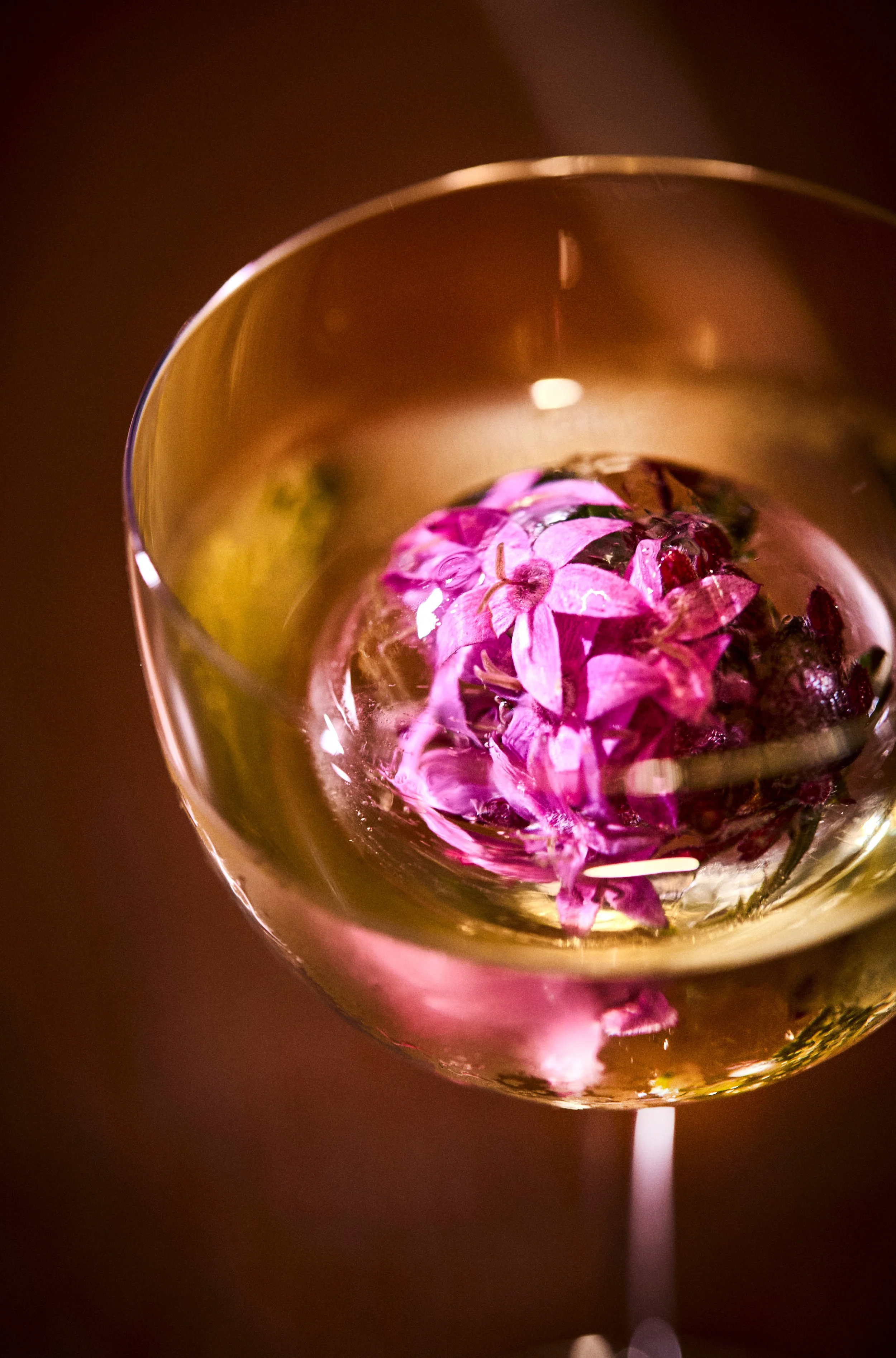 260306 Awamori de Lequio Benjamin T Stone-Portfolio15.jpg