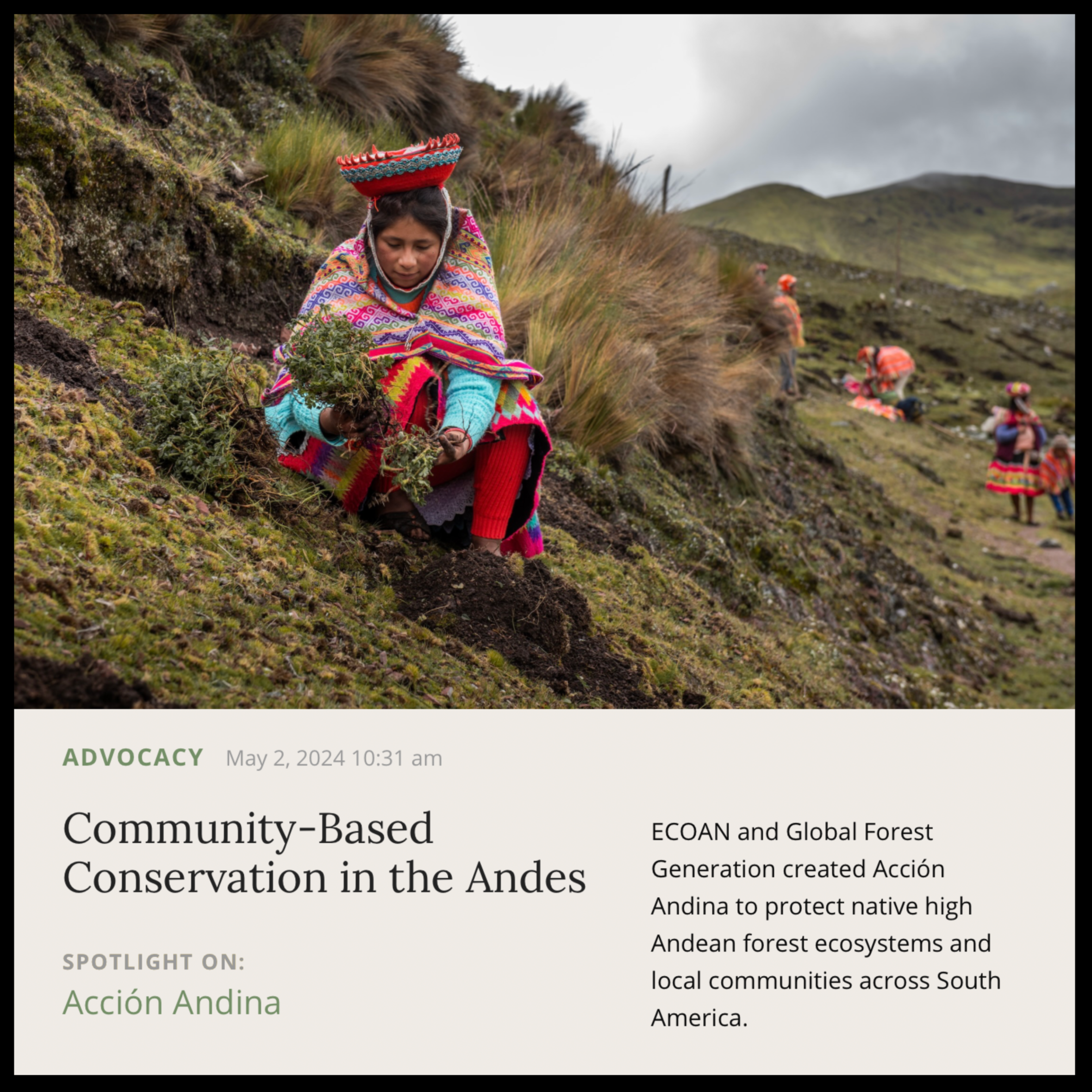 Musings | May 2024 | Acción Andina