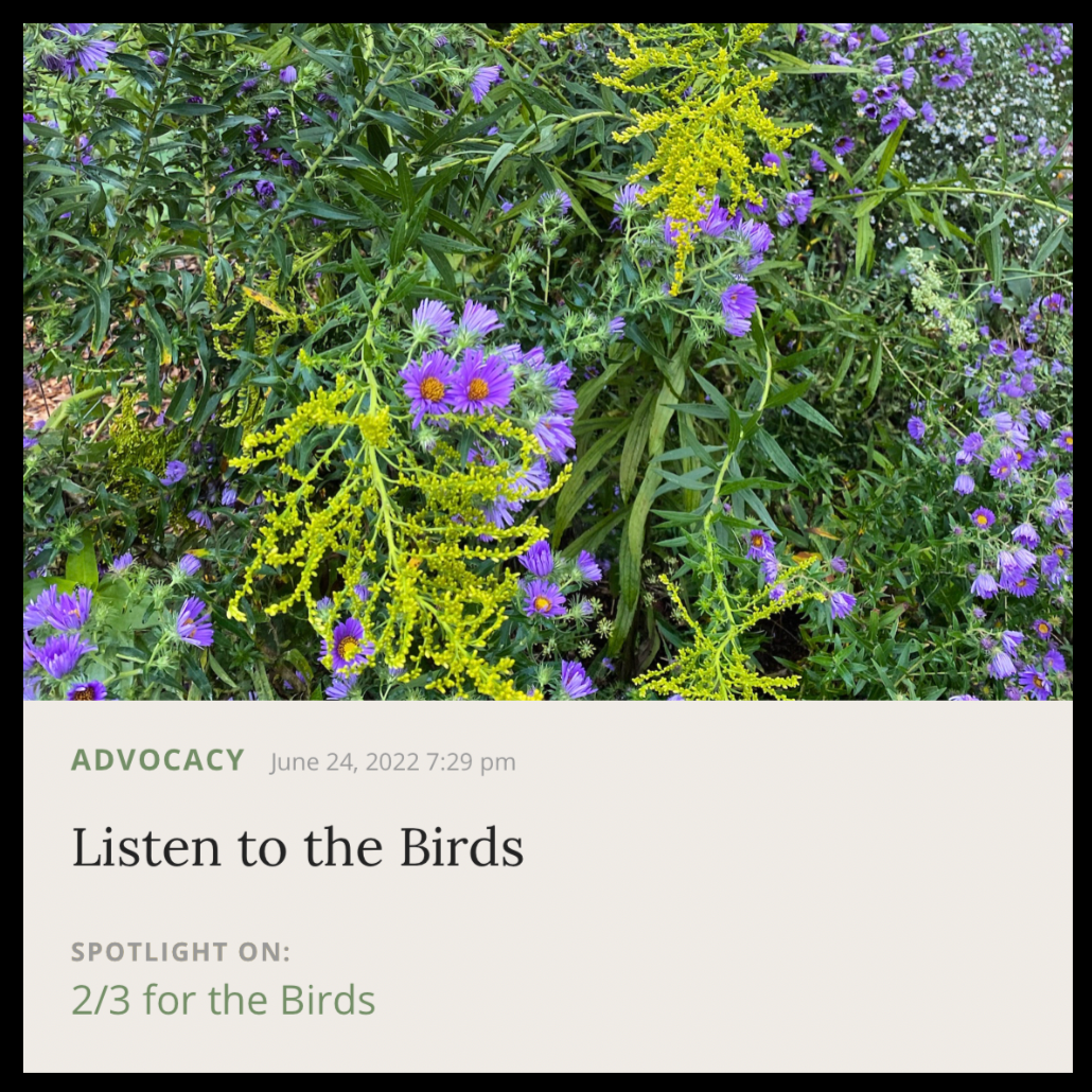 Musings | June 2022 | 2/3 for the Birds