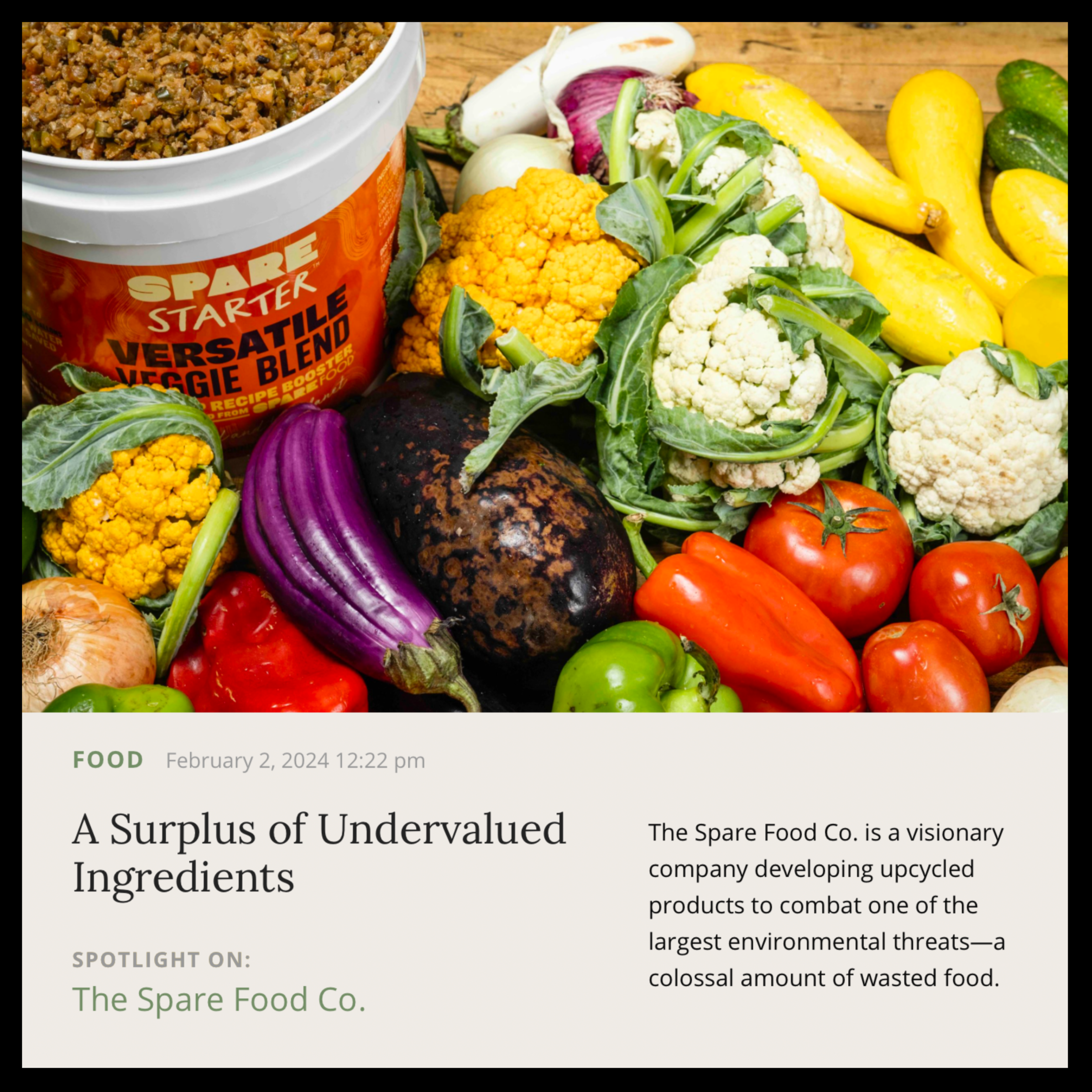 Musings | February 2024 | The Spare Food Co.