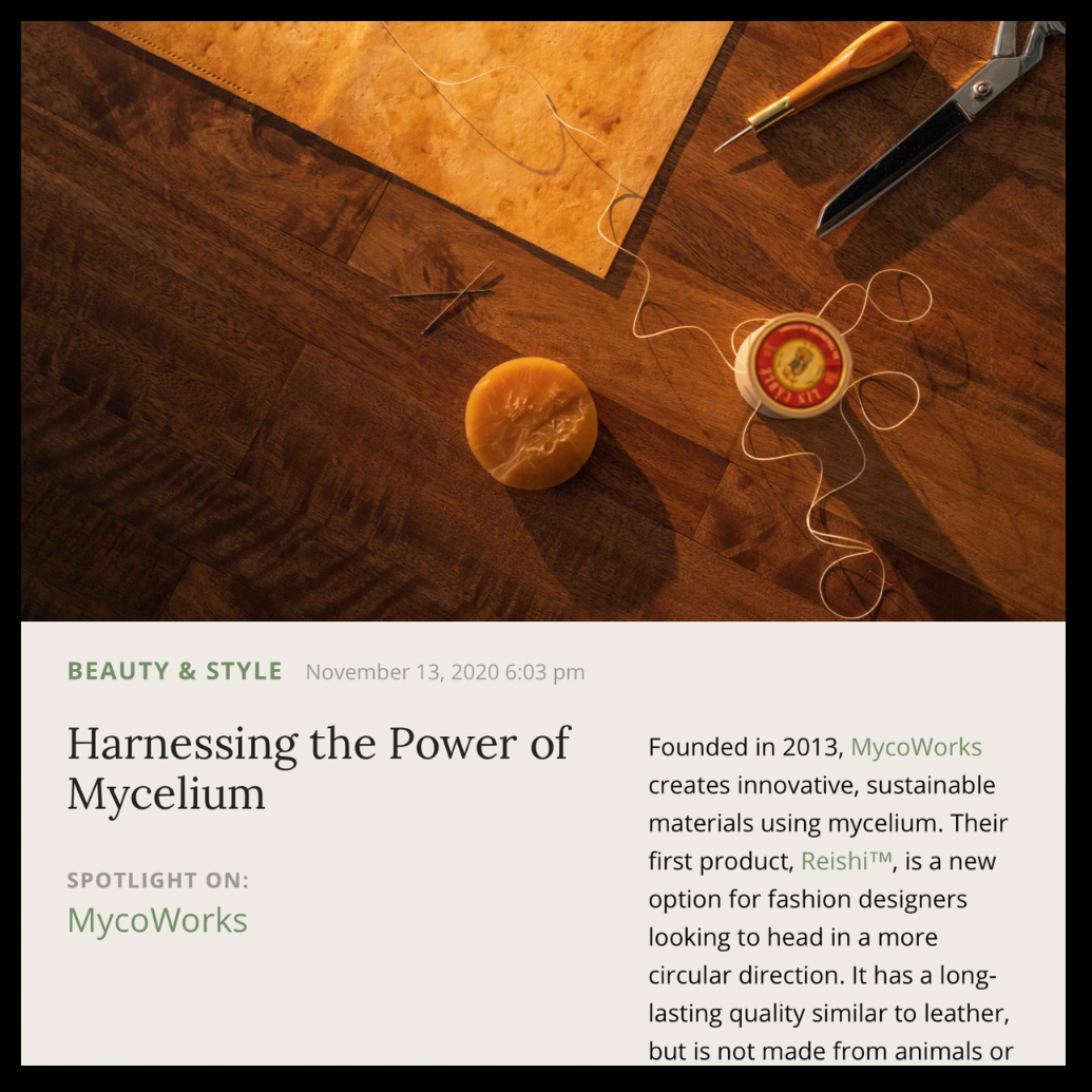 Musings | November 2020 | MycoWorks