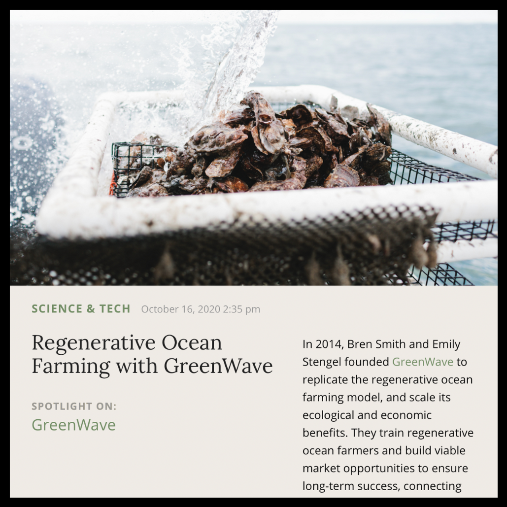 Musings | October 2020 | GreenWave