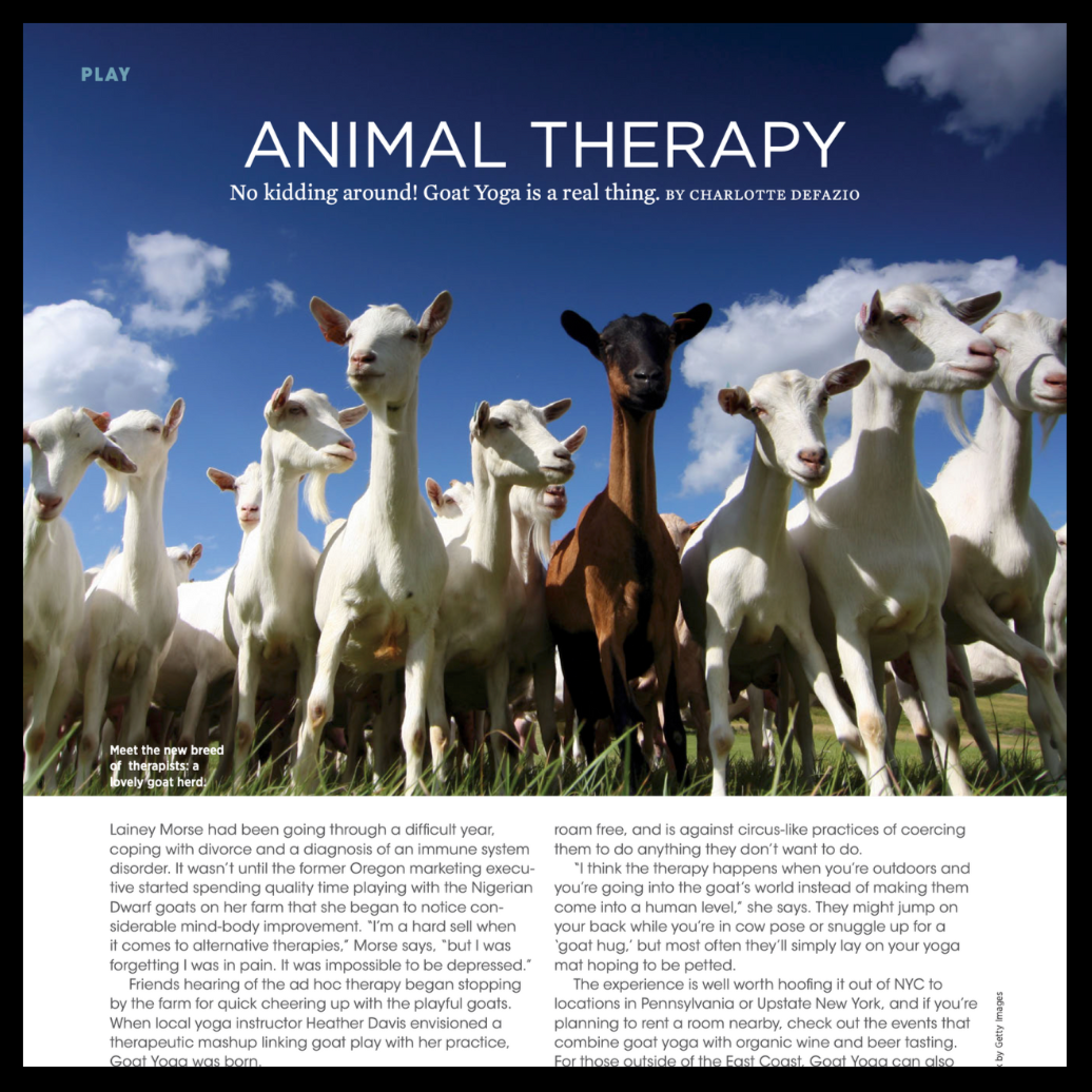 Purist | Spring 2018 | Goat Yoga