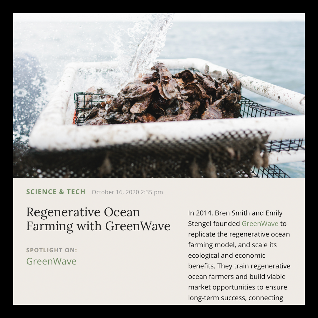 Musings | October 2020 | GreenWave