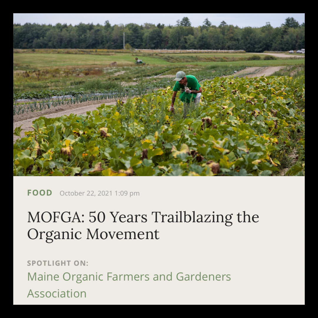 Musings | October 2021 | MOFGA