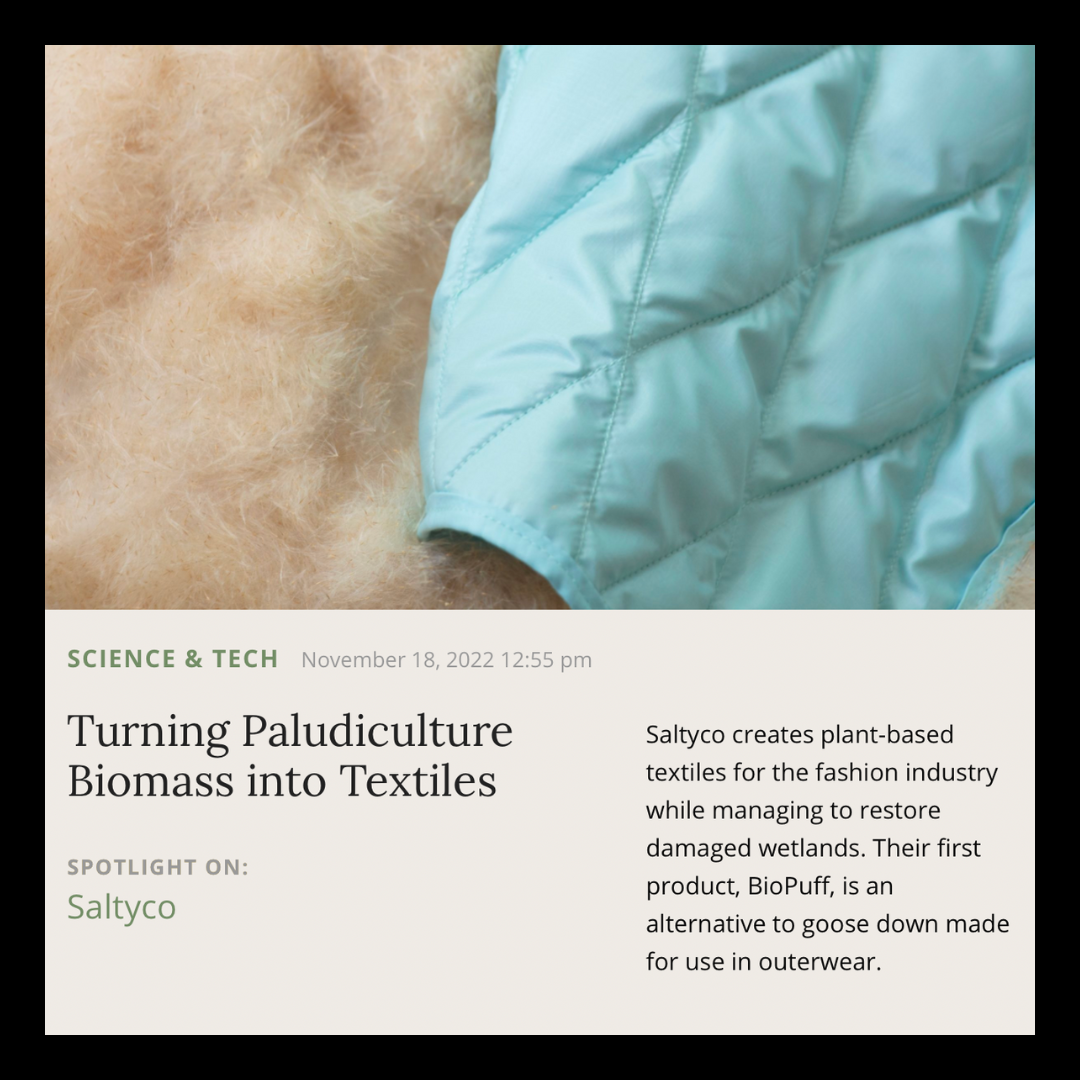 Musings | November 2022 | Saltyco