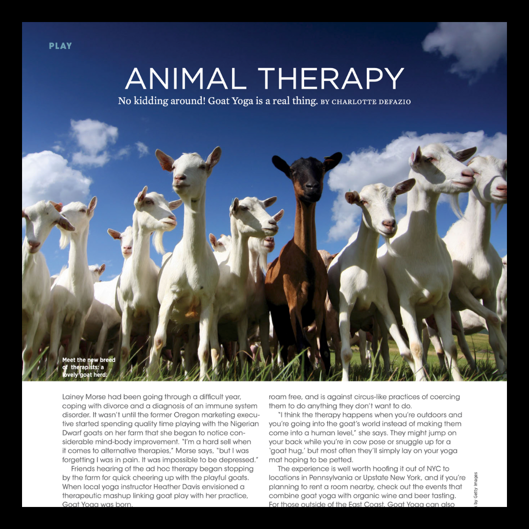 Purist | Spring 2018 | Goat Yoga