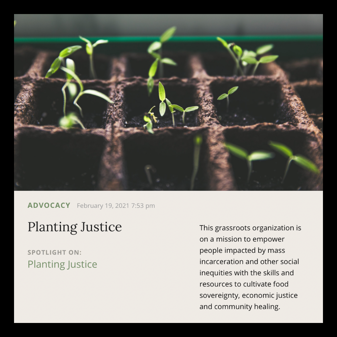 Musings | February 2021 | Planting Justice