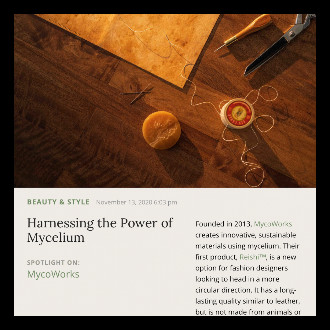 Musings | November 2020 | MycoWorks