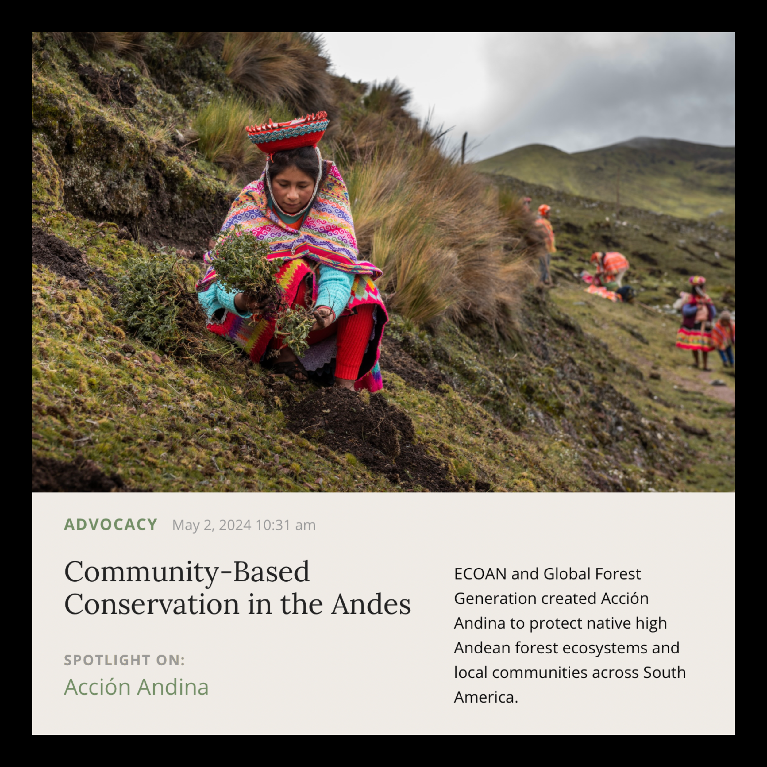 Musings | May 2024 | Acción Andina