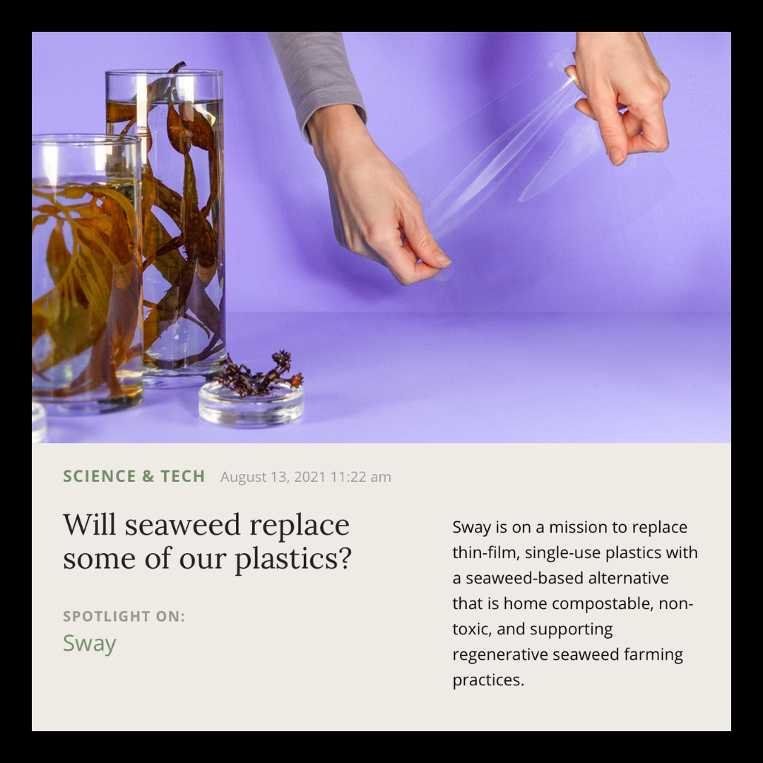 Musings | August 2021 | Sway