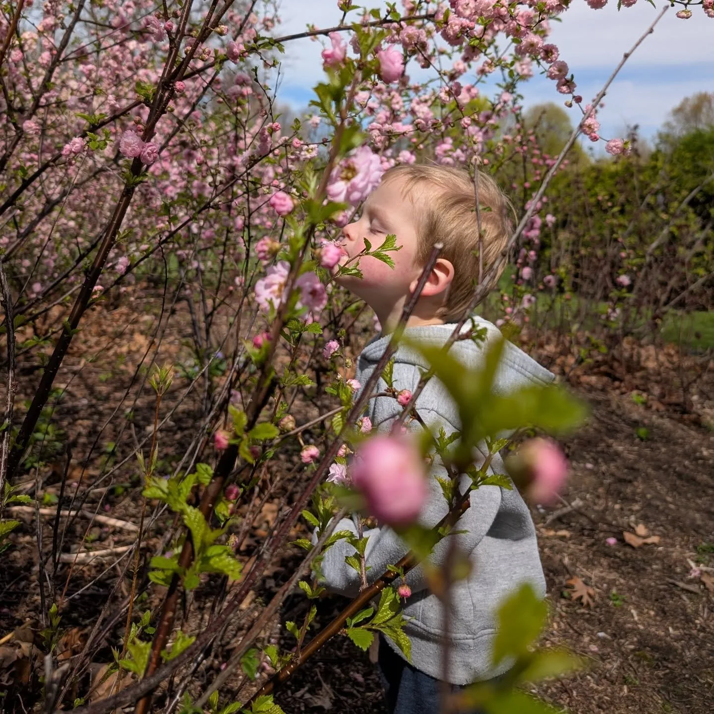 Tonight I felt like I had lost the last nine months. The age between one and two is one of my favorites, and I couldn't remember anything I had done with him over that time. I missed it. So I opened my photos. And I was there. We did things. I'm so t