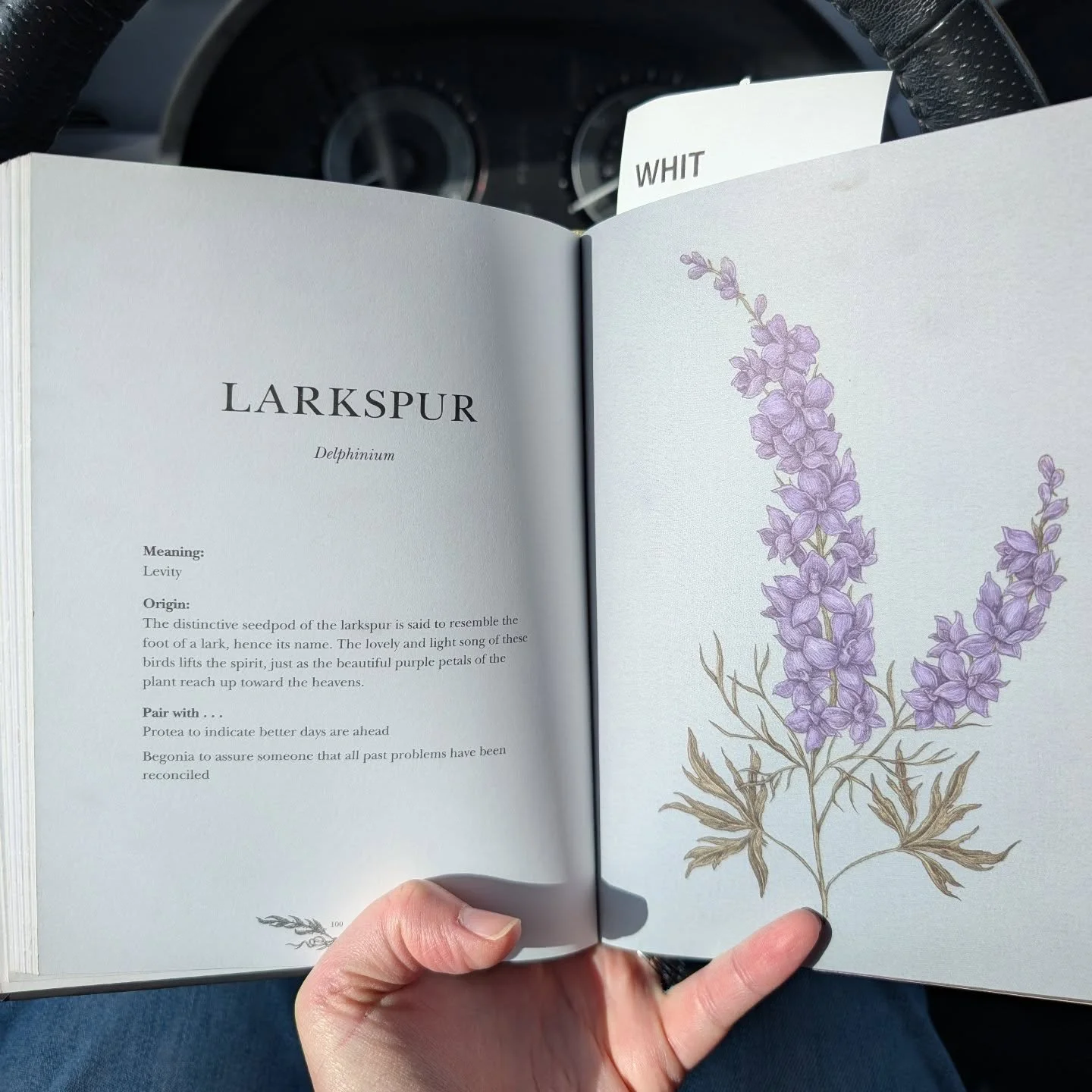 Sometimes we do research in the car before pick up #amwriΜtiΜng