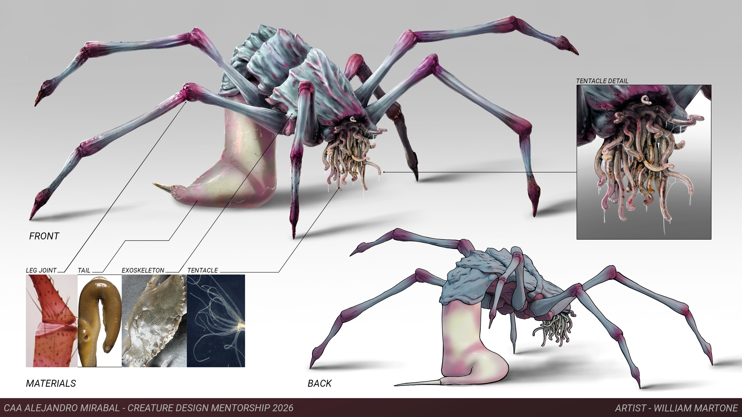 Front and Back Views.png