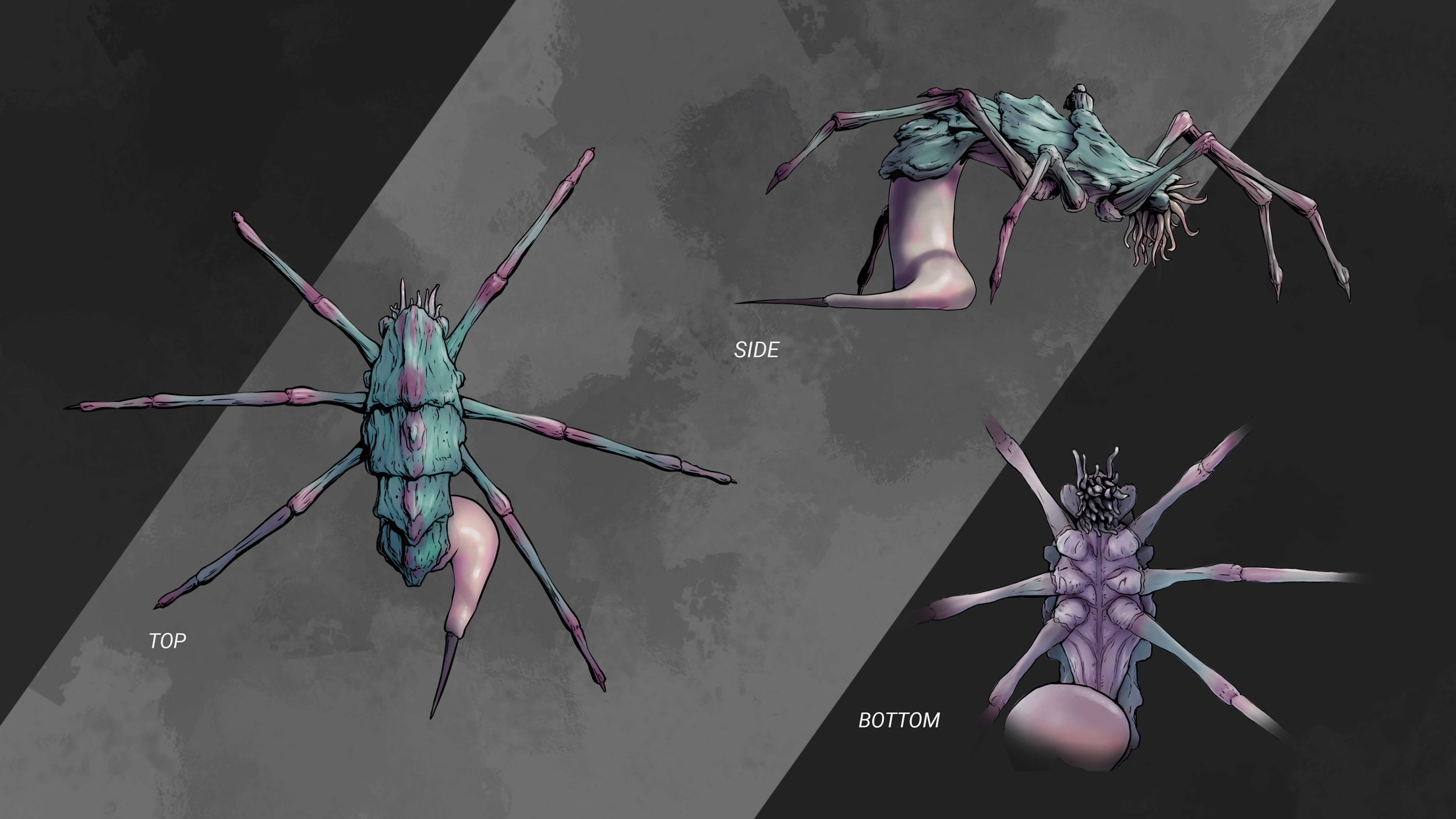 Creature Orthos.png