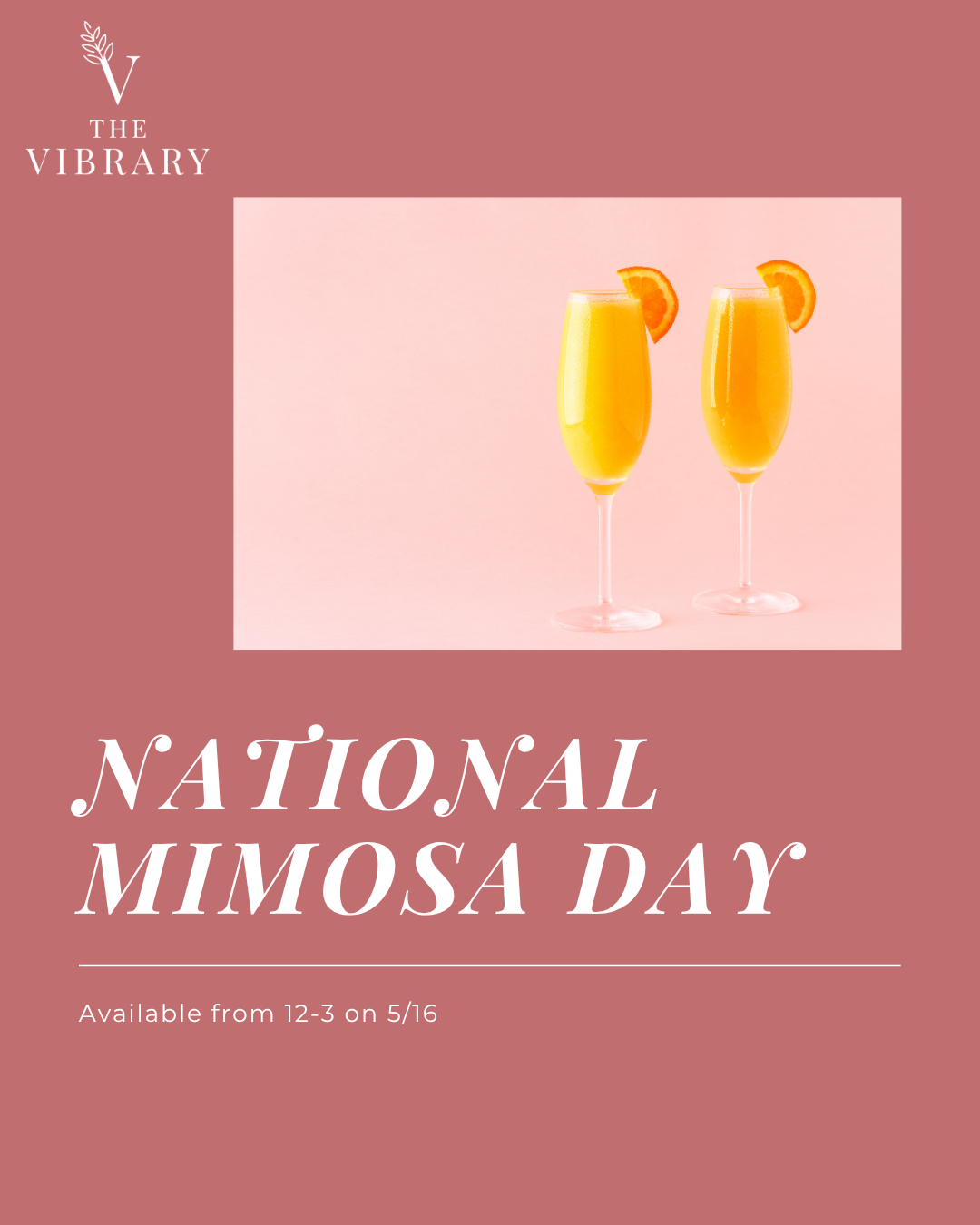 National Mimosa Day! Available from 12-3