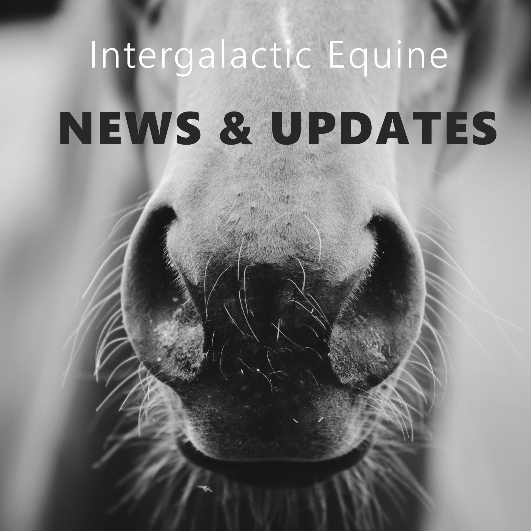 Date change for April 3-day trail ride