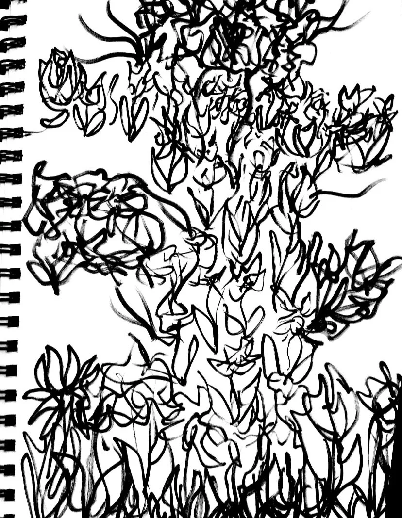 IMG_6798.png