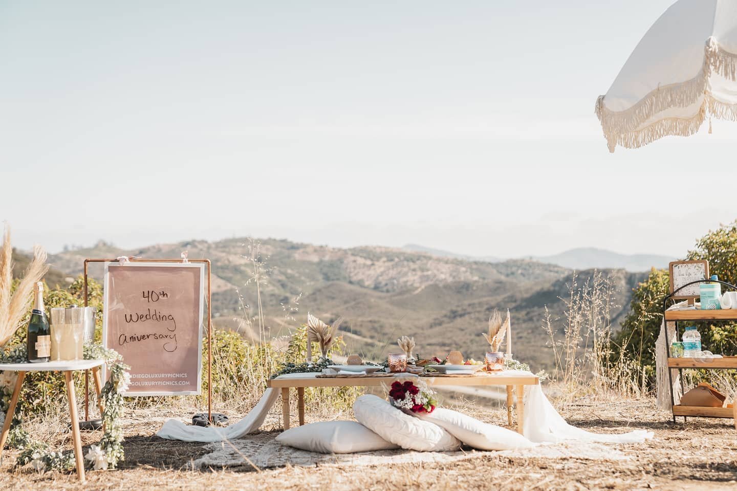 How beautiful is it to see a loving son and wife tag team to suprise their parents with a luxury picnic to celebrate their 40th wedding anniversary on their new land where they plan to build a new home ❤

#sandiegoluxurypicnics #sandiego #sandiegothi