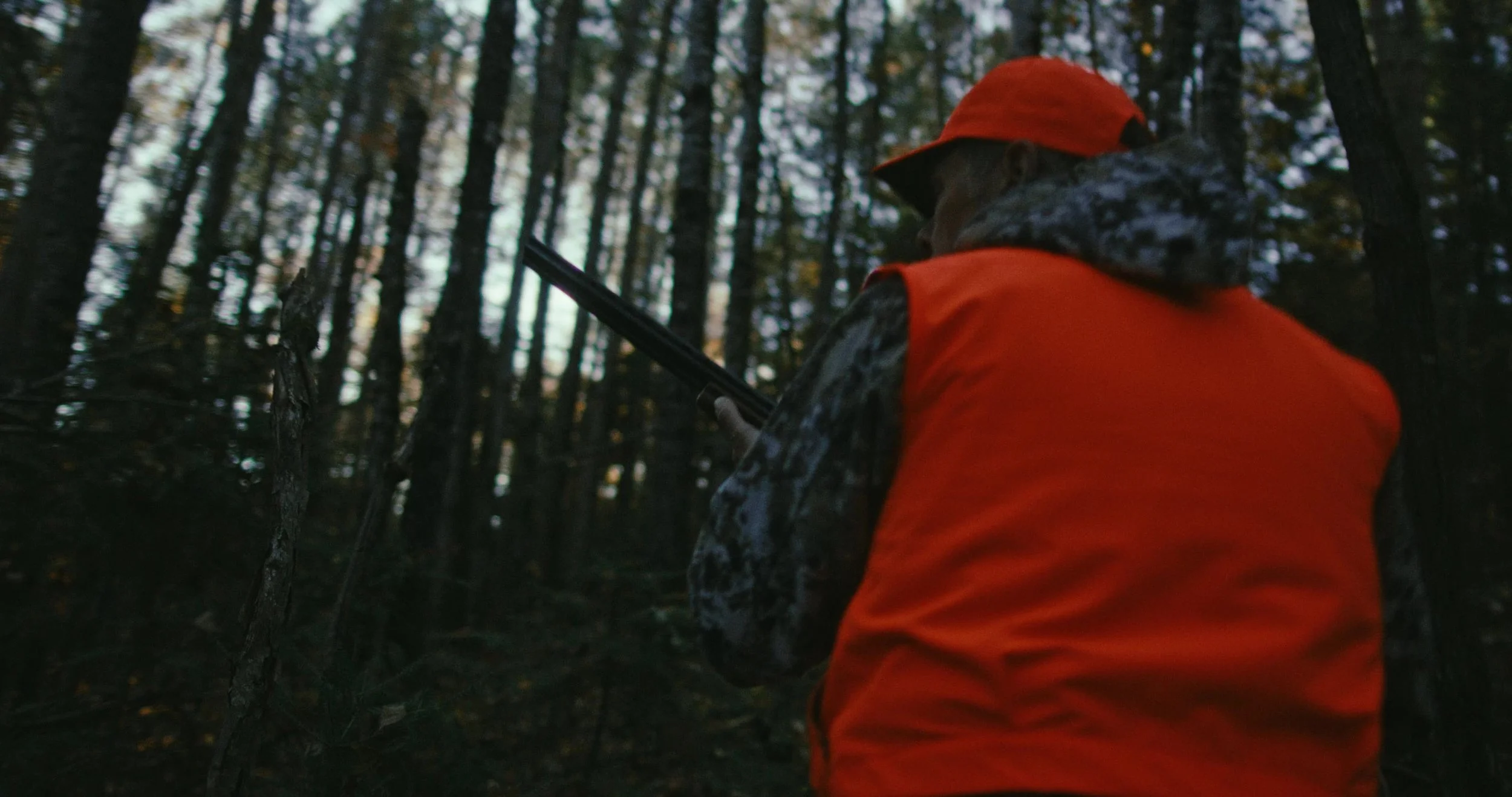 frame_5762.jpg