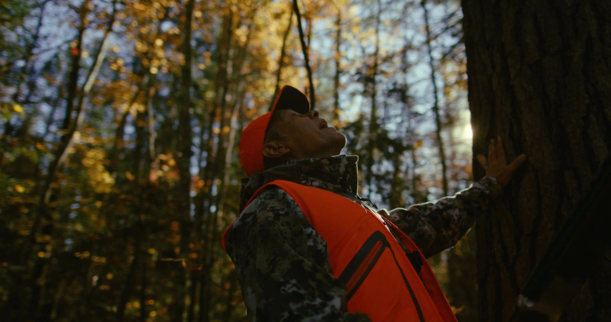 frame_5341.jpg