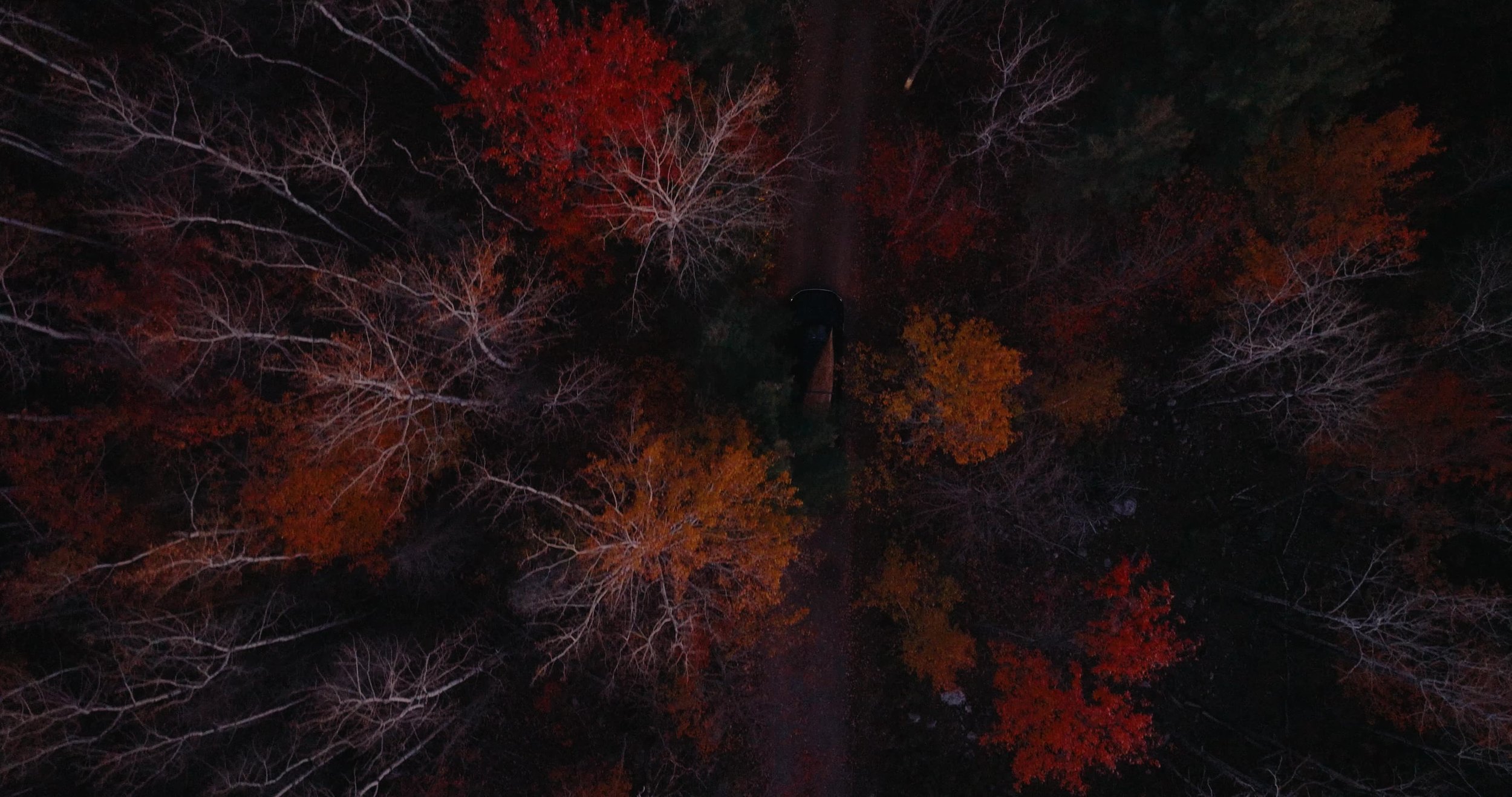 frame_7097.jpg