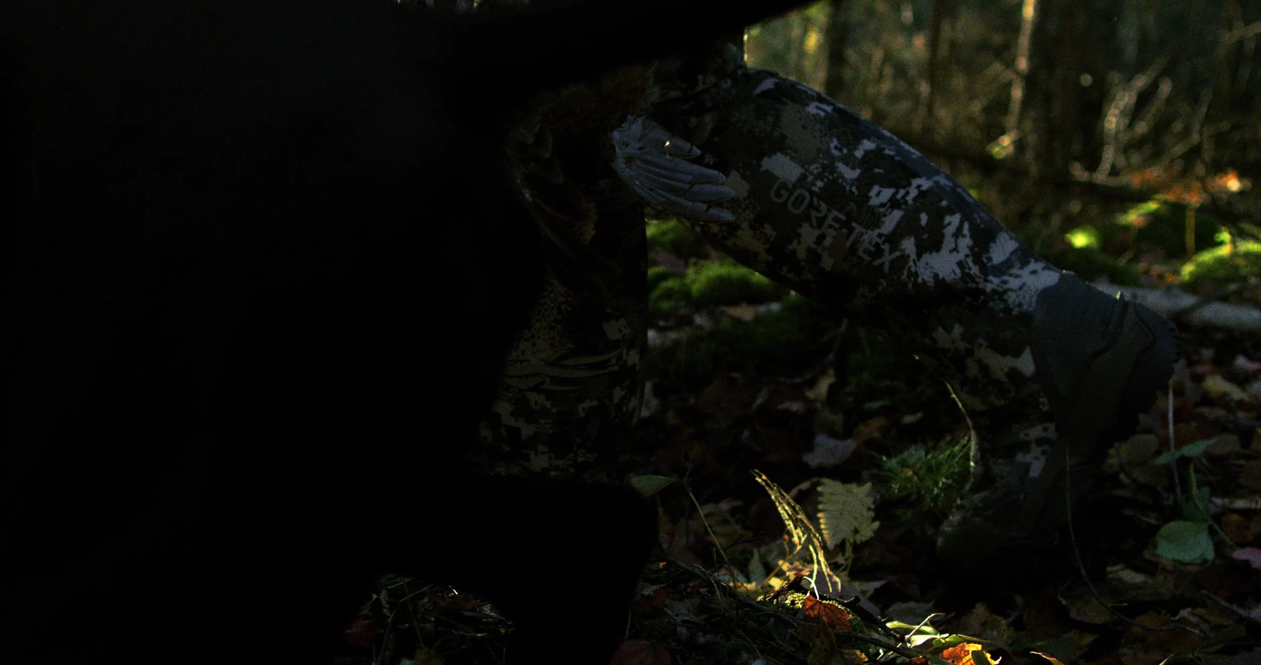 frame_6527.jpg