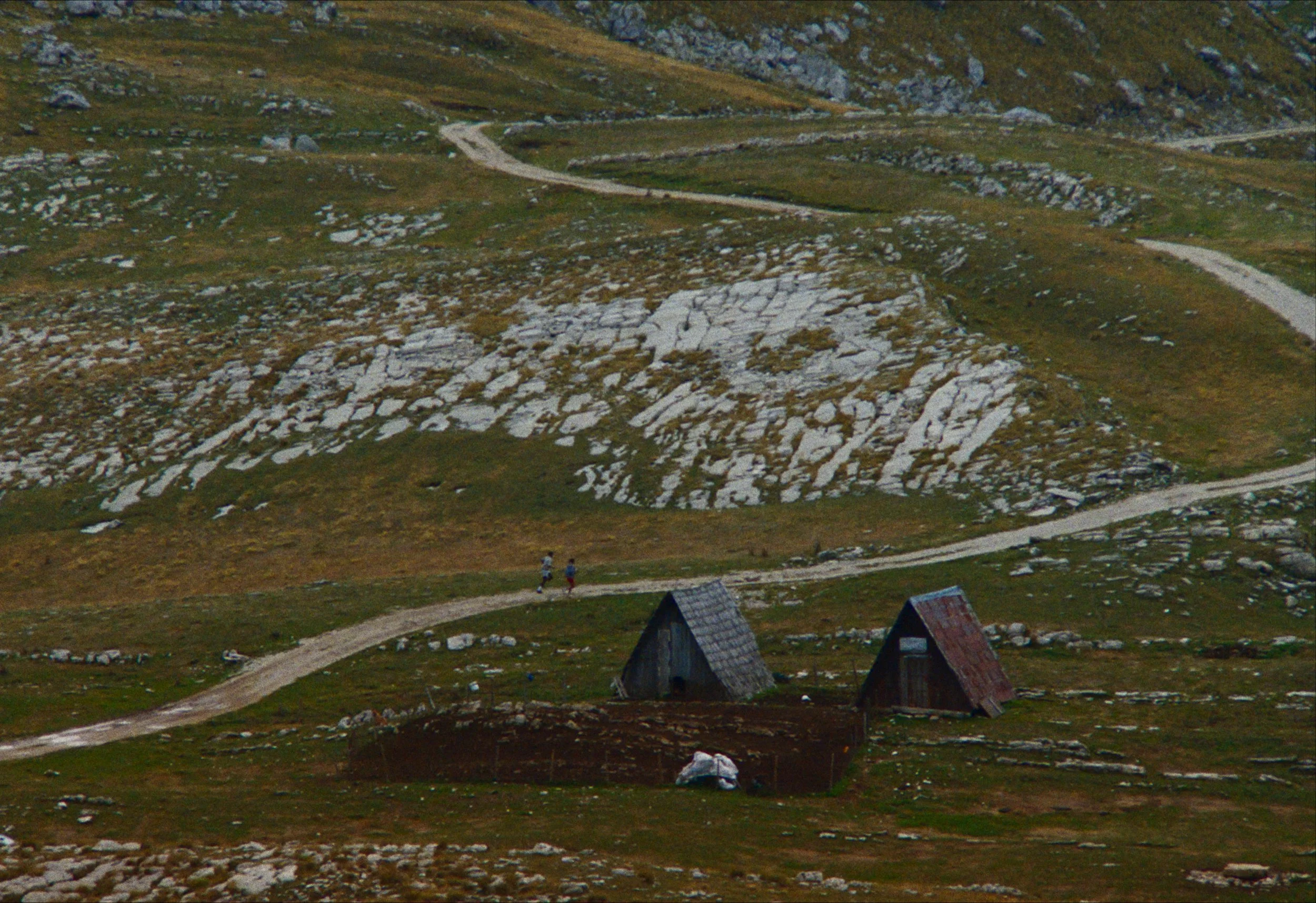 frame_7079.jpg