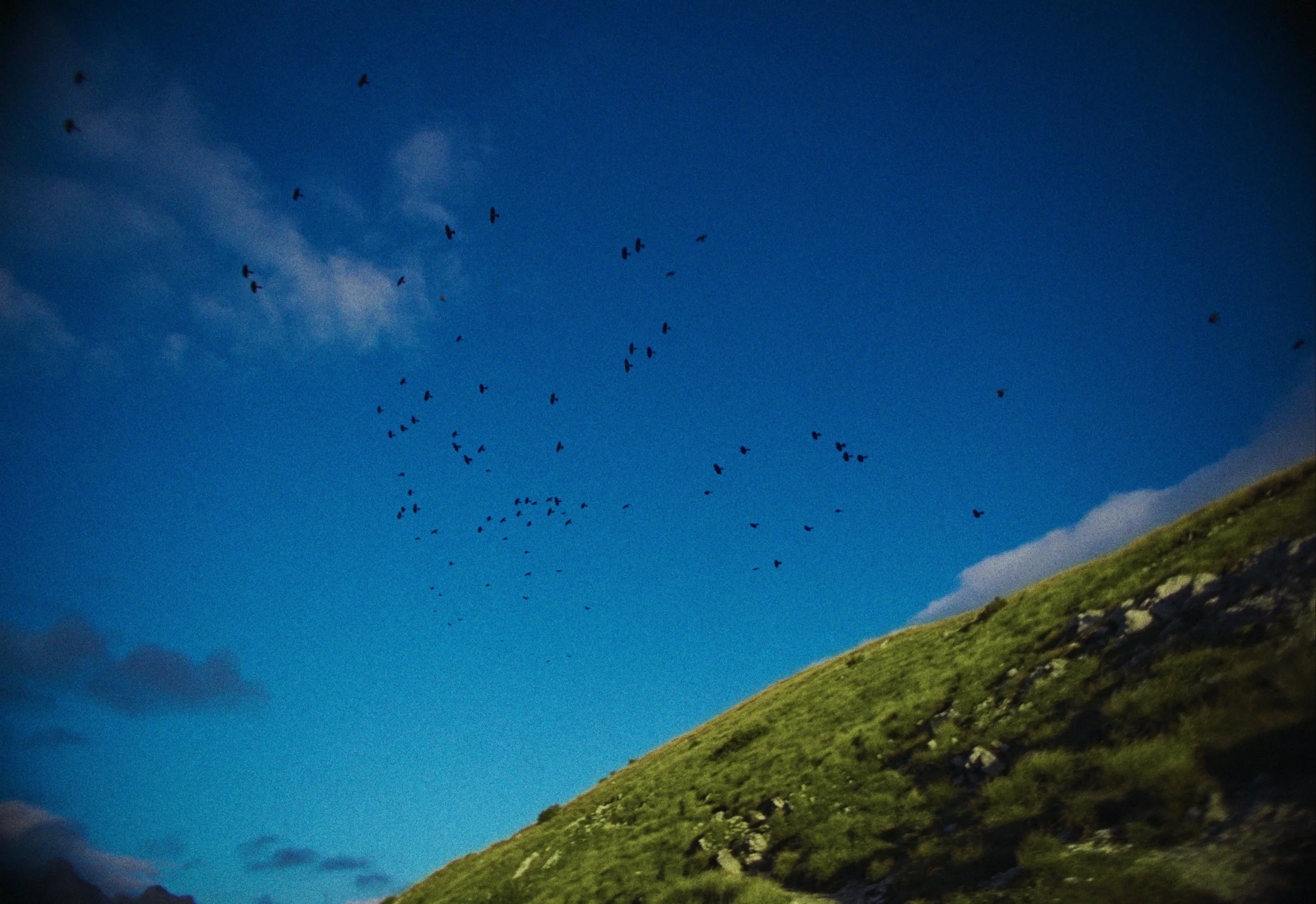 frame_4691.jpg