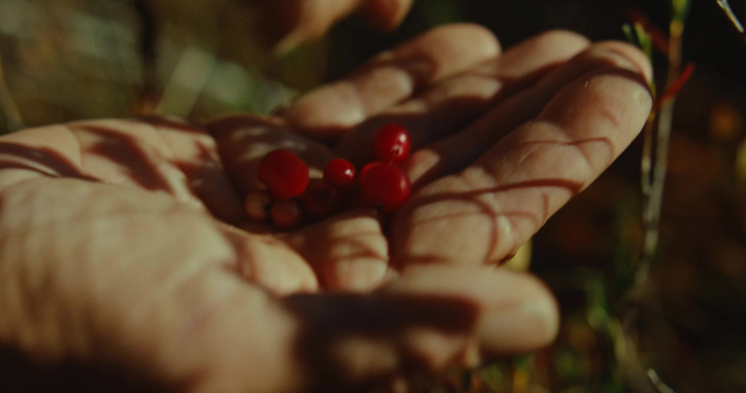frame_11629.jpg