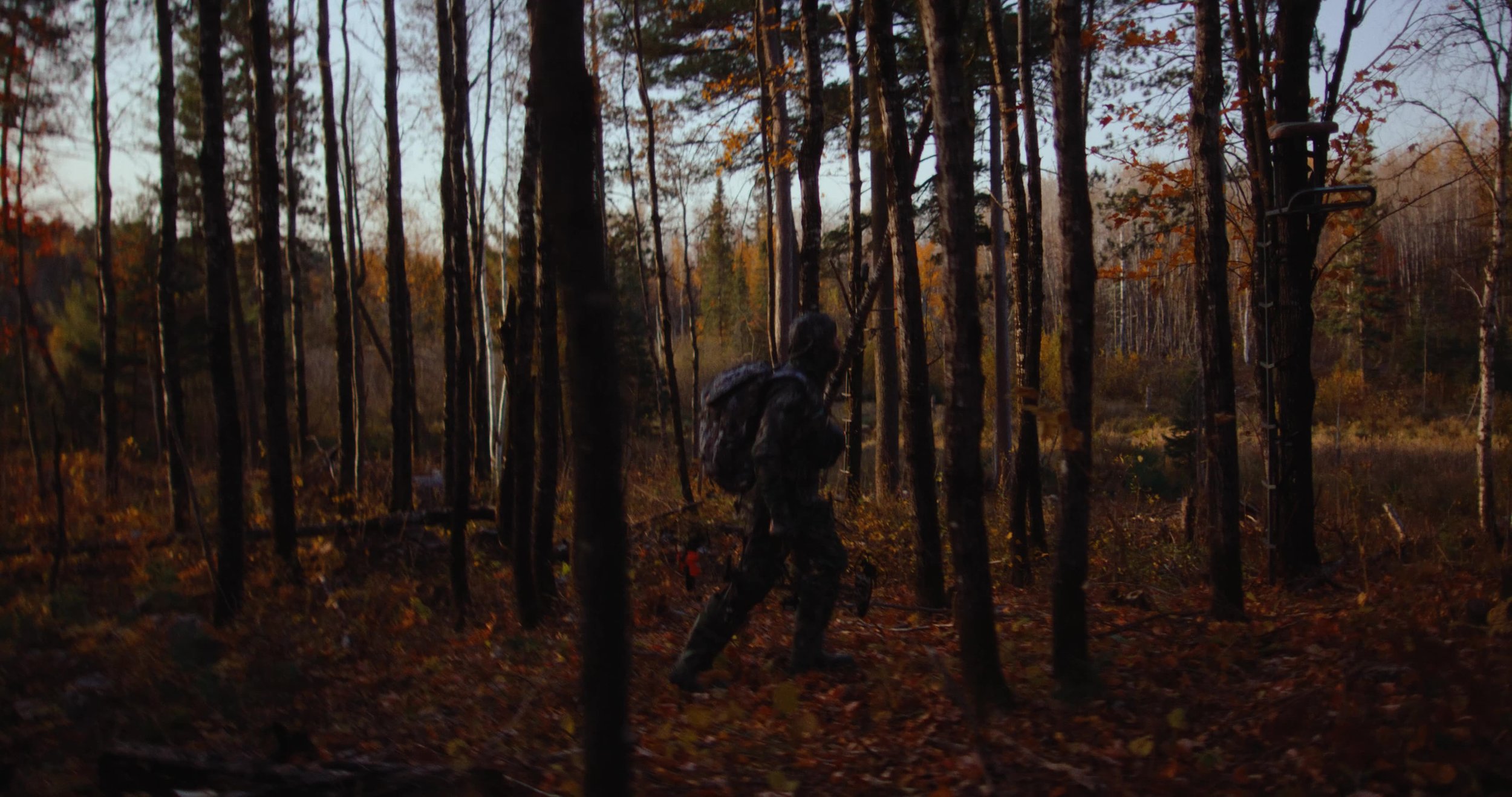 frame_1707.jpg