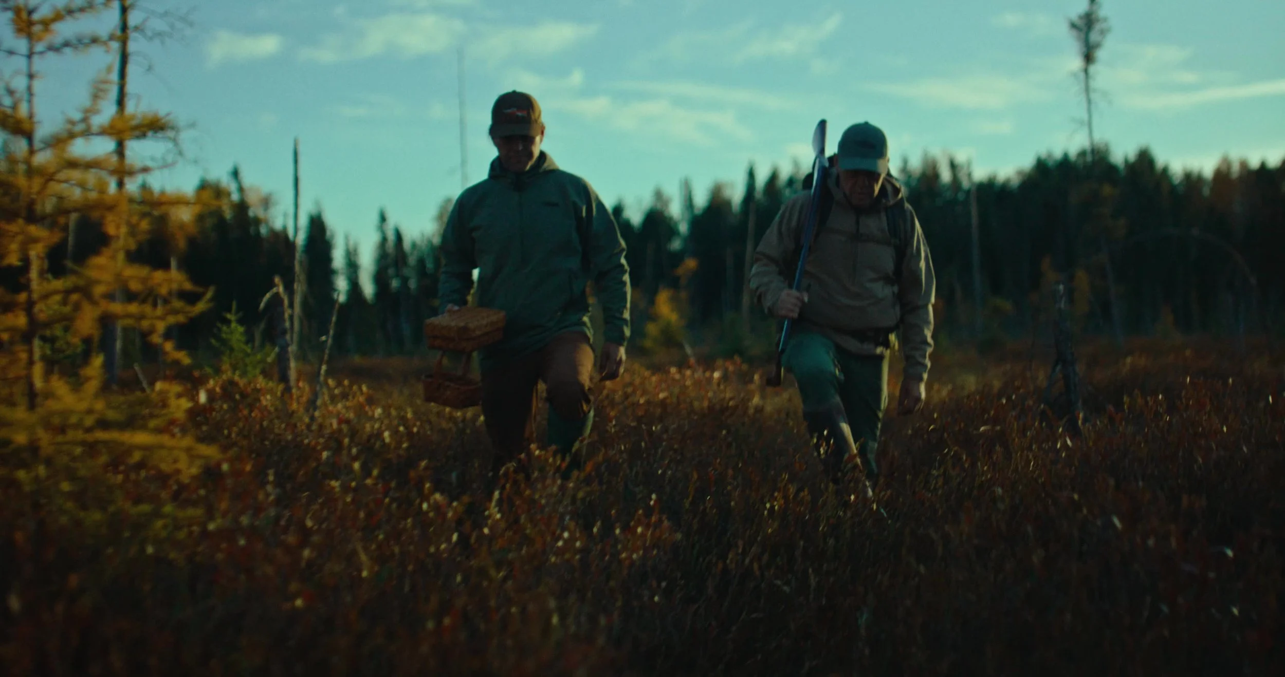 frame_11902.jpg