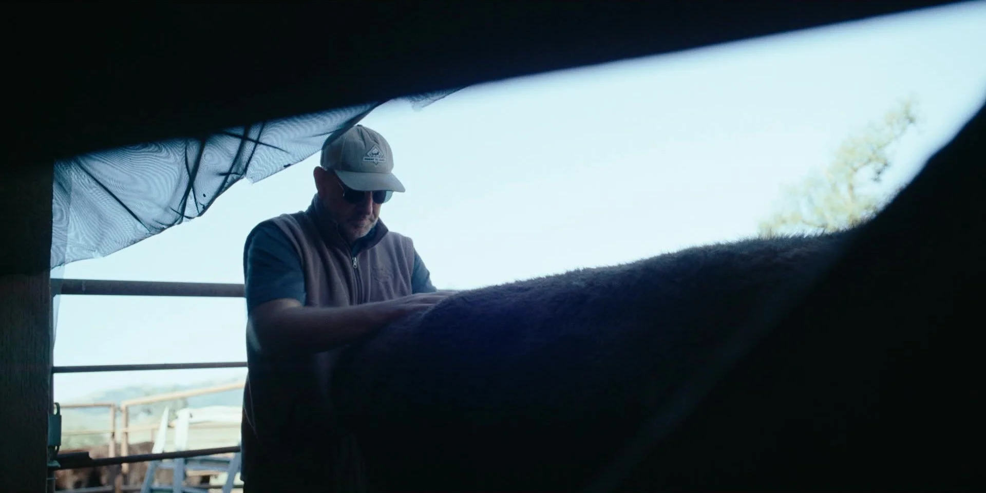 frame_93136.jpg