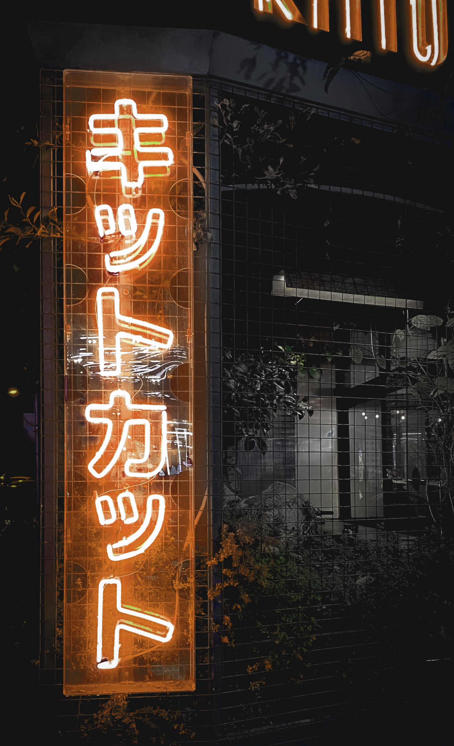 kanpai.jpg