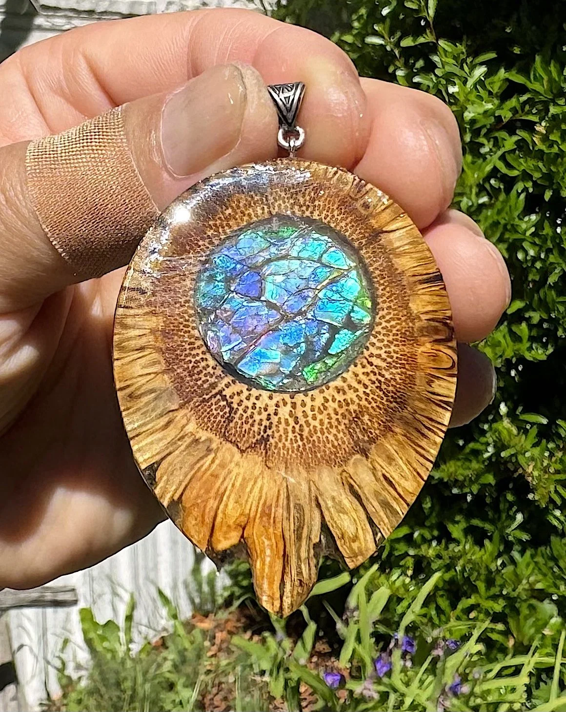 Sun Root Ammolite-nite Pendant
