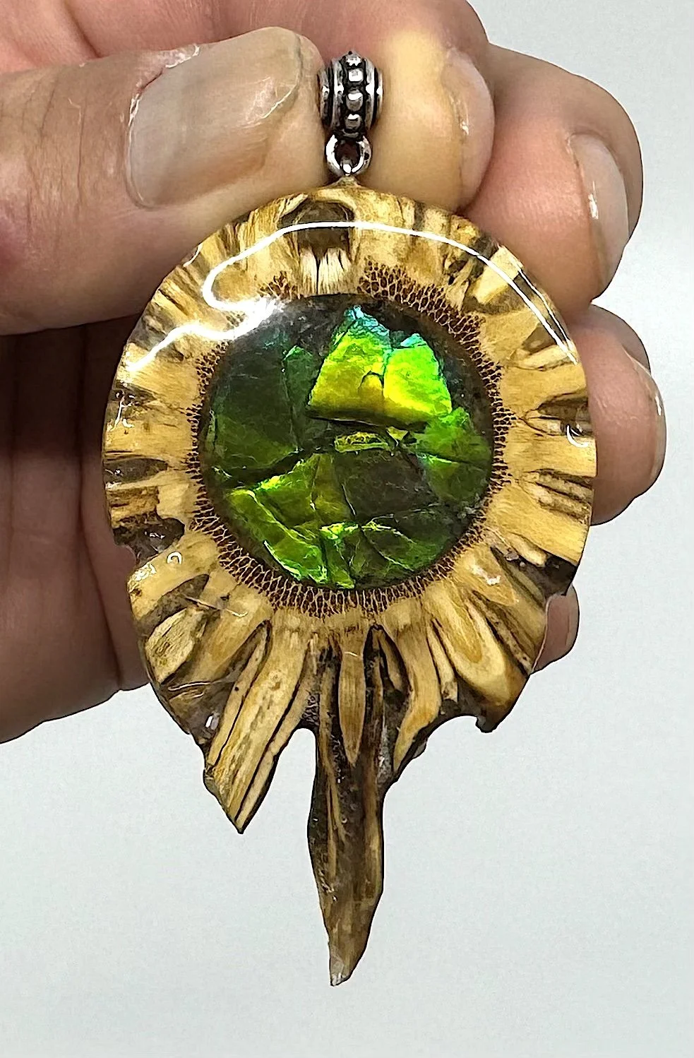 Sun Root Pendant (ammolite front, conch shell back)