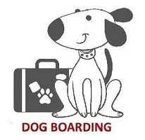 BOARDING 1.jpg