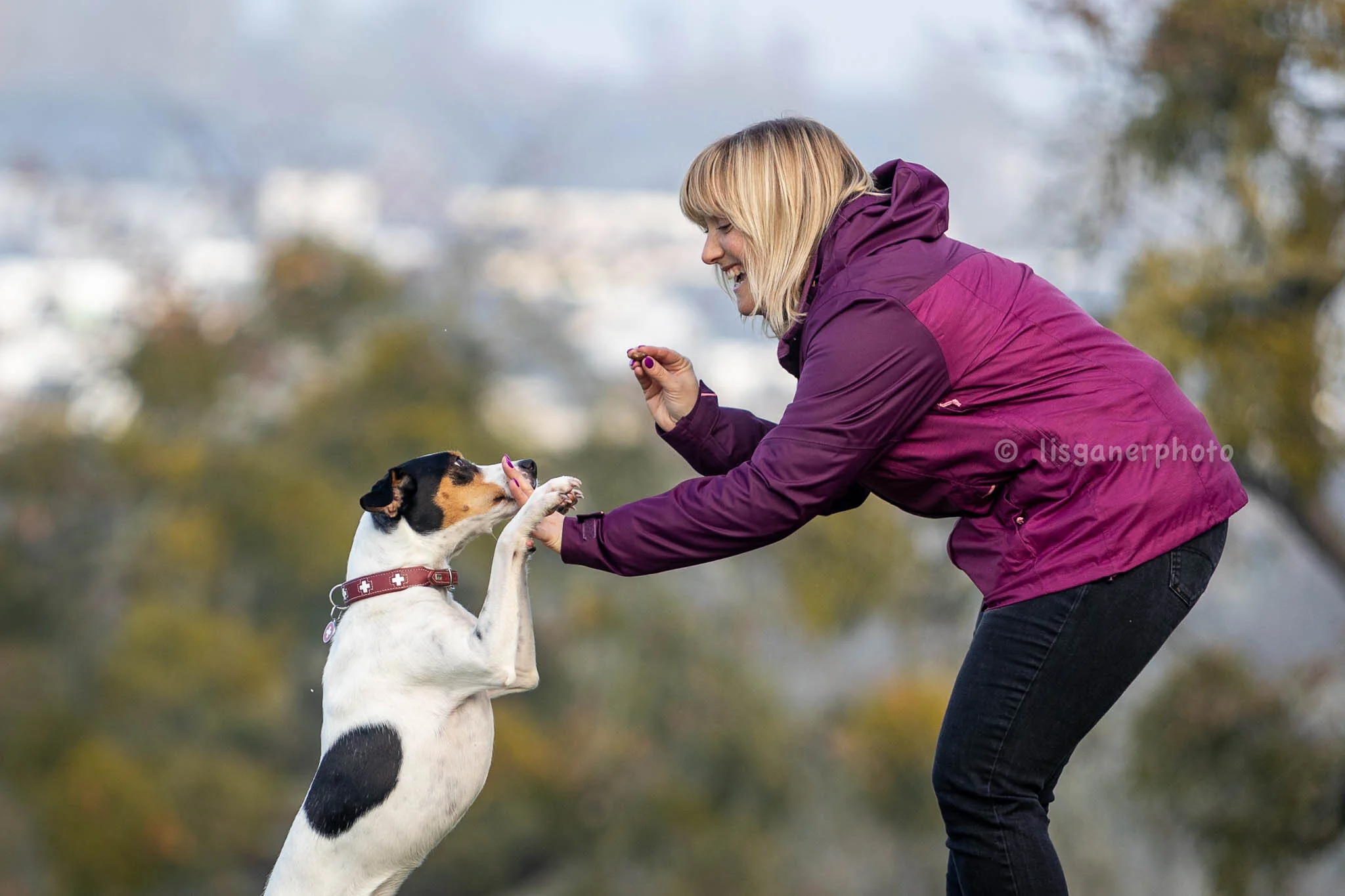 all dogs (3 of 6).jpg
