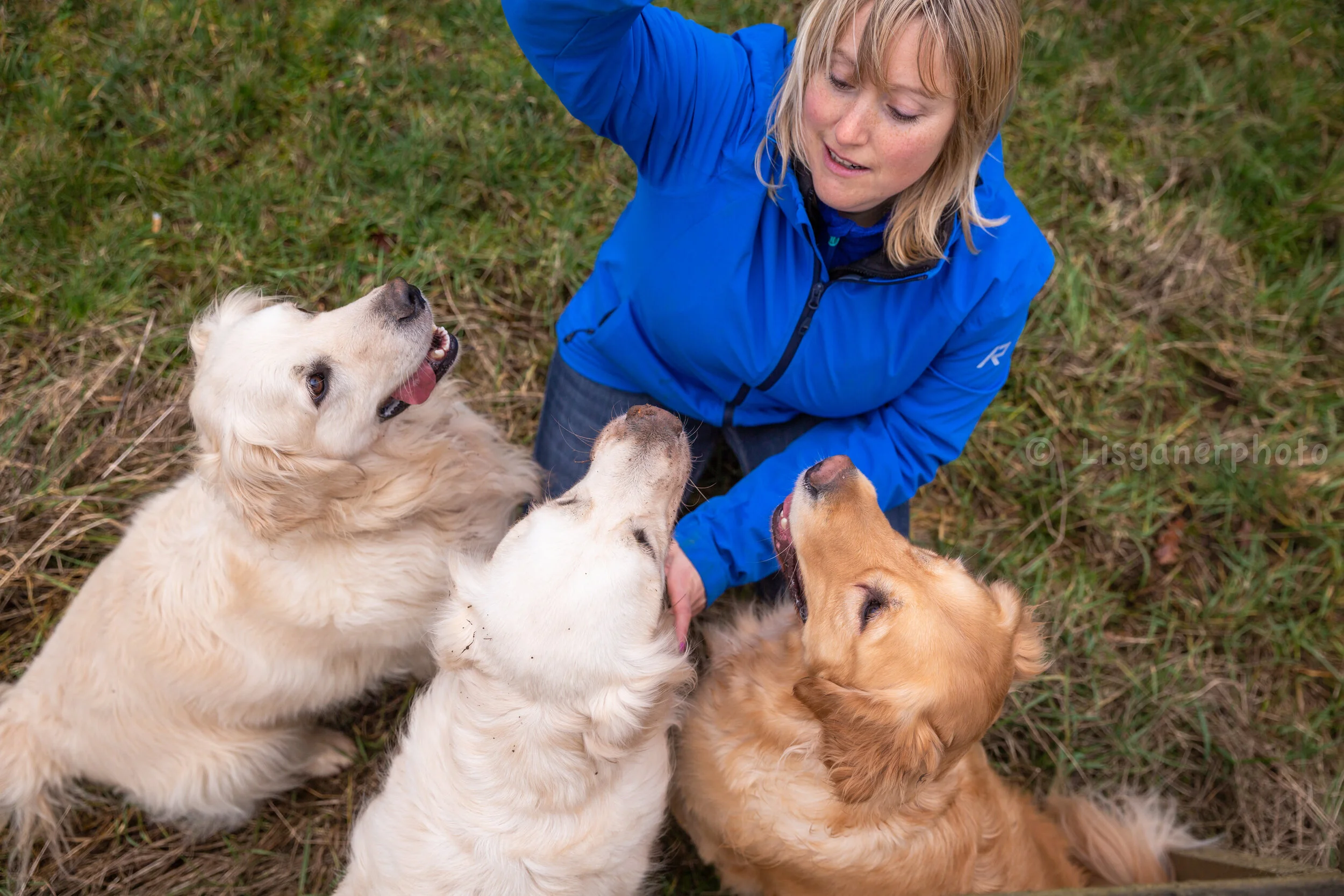 amadine and the goldens (53 of 53).jpg