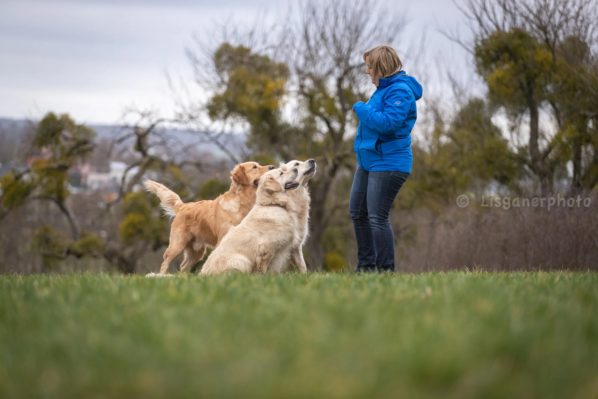 amadine and the goldens (15 of 53).jpg