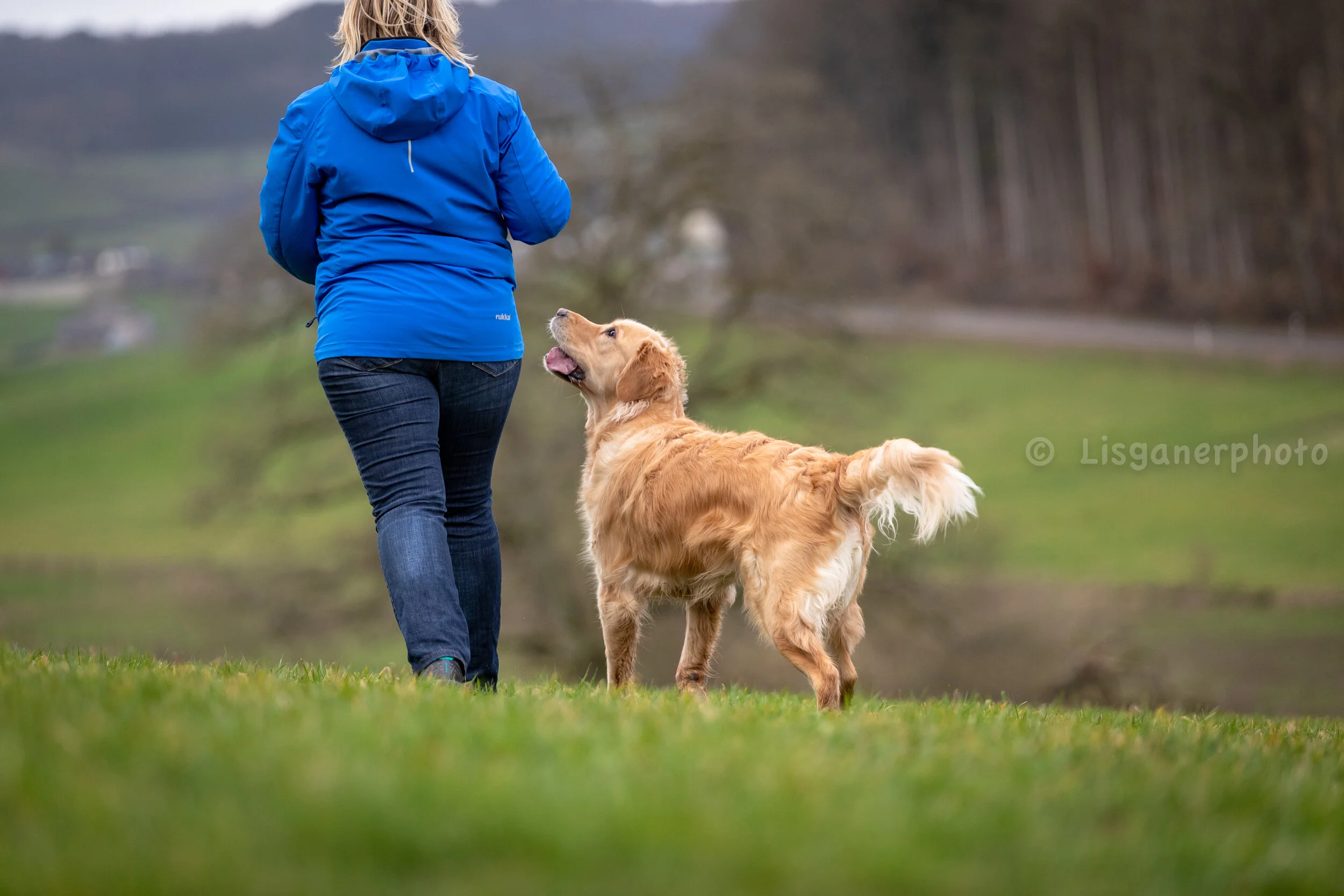 amadine and the goldens (31 of 53).jpg