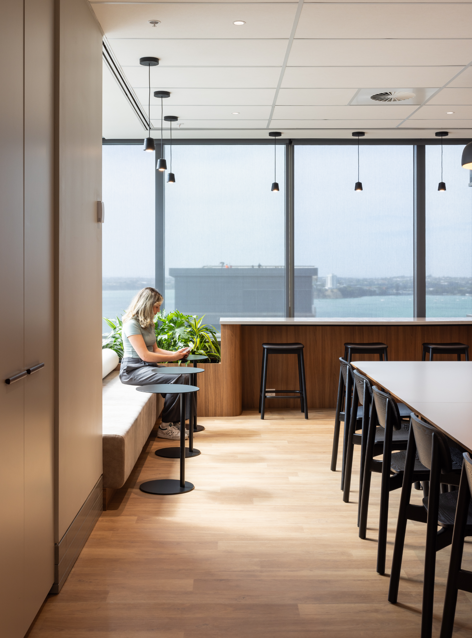 The Law Association | Auckland