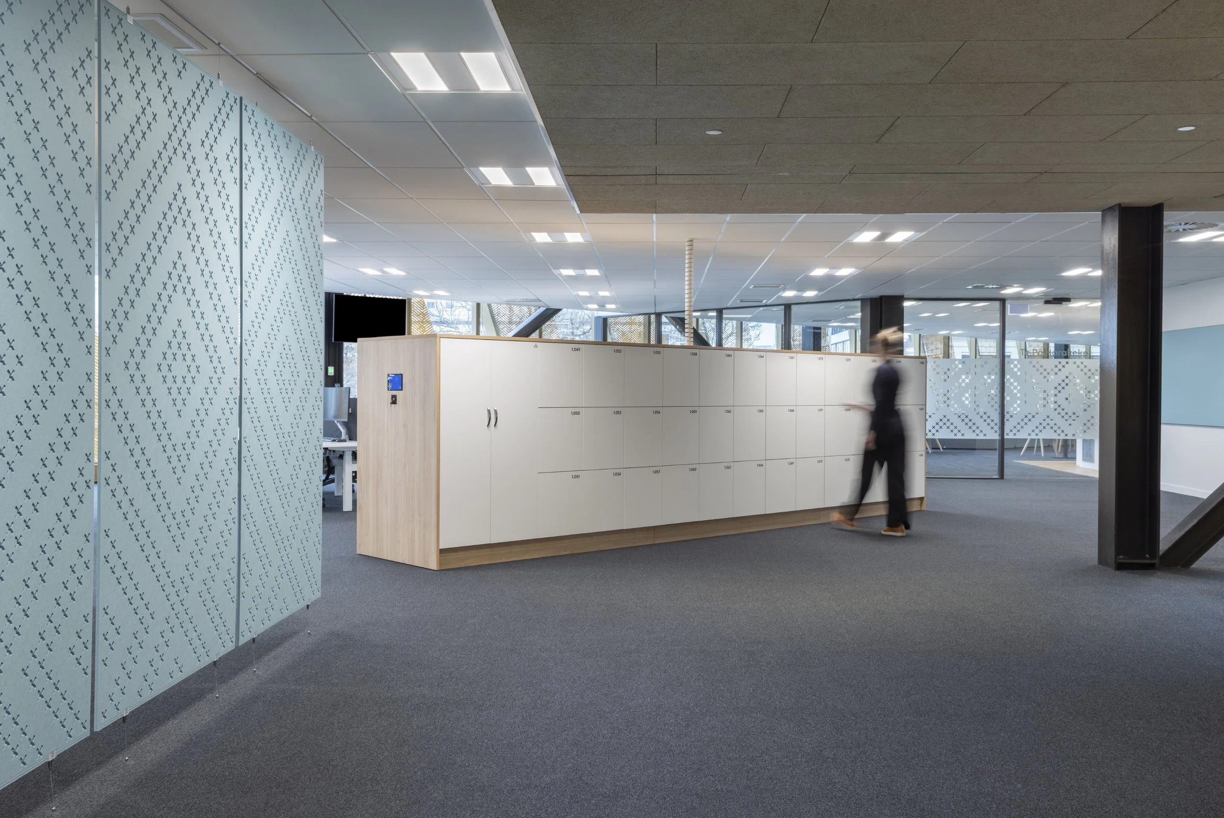 Government Organisation | Dunedin