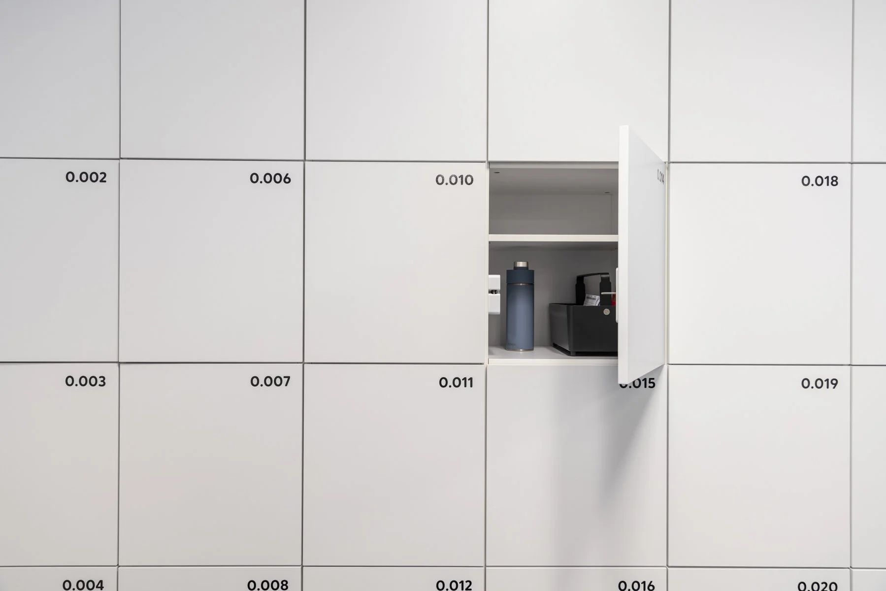 Government Organisation, Dunedin