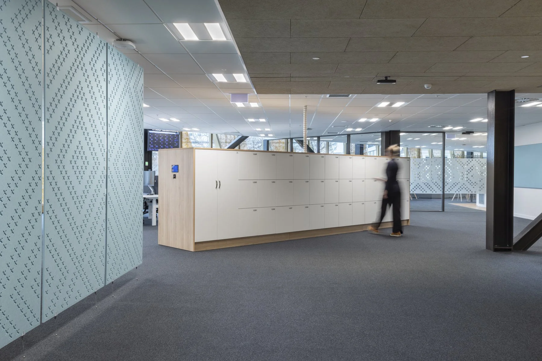 Government Organisation, Dunedin