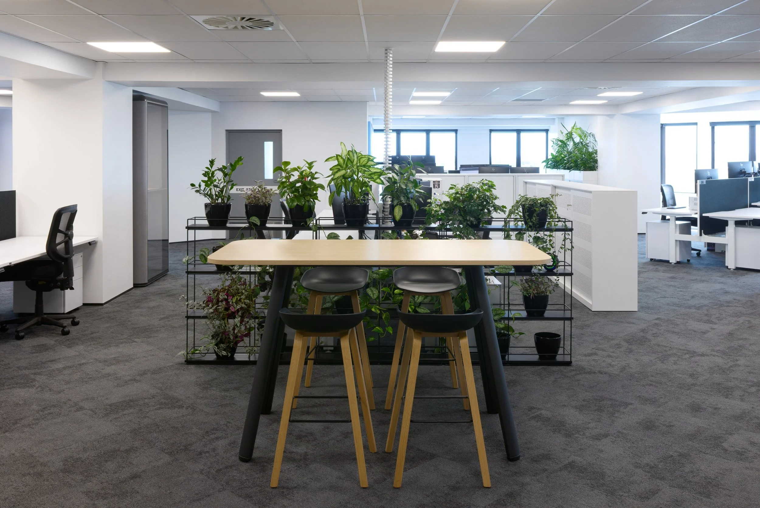 Gallagher Insurance | Palmerston North