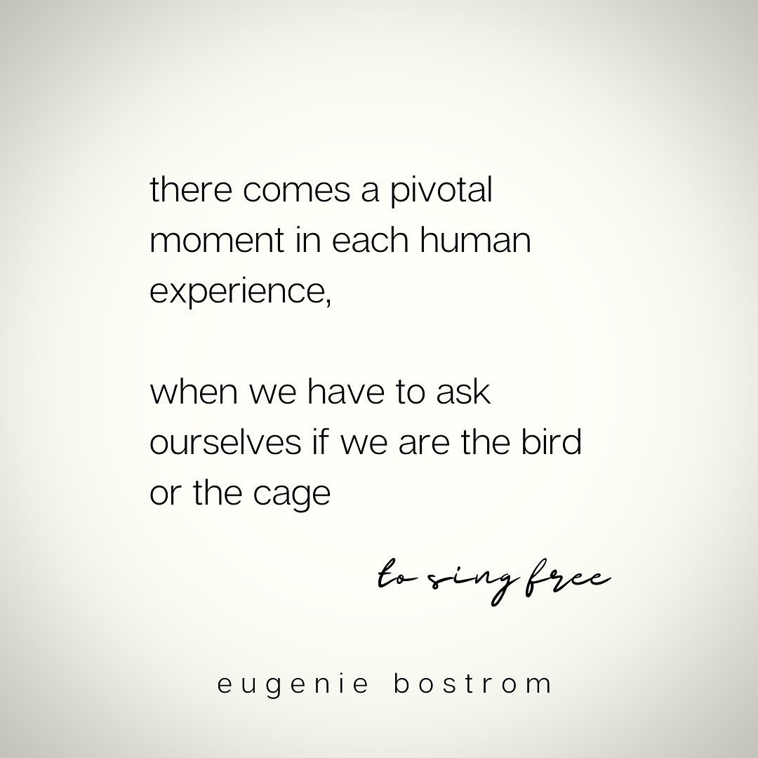 A real look.

Asking these questions is how you begin to #embracethebear 

In homage to the great #MayaAngelou

#iknowwhythecagedbirdsings #poetrycommunity #birdorcage #embracingthebear